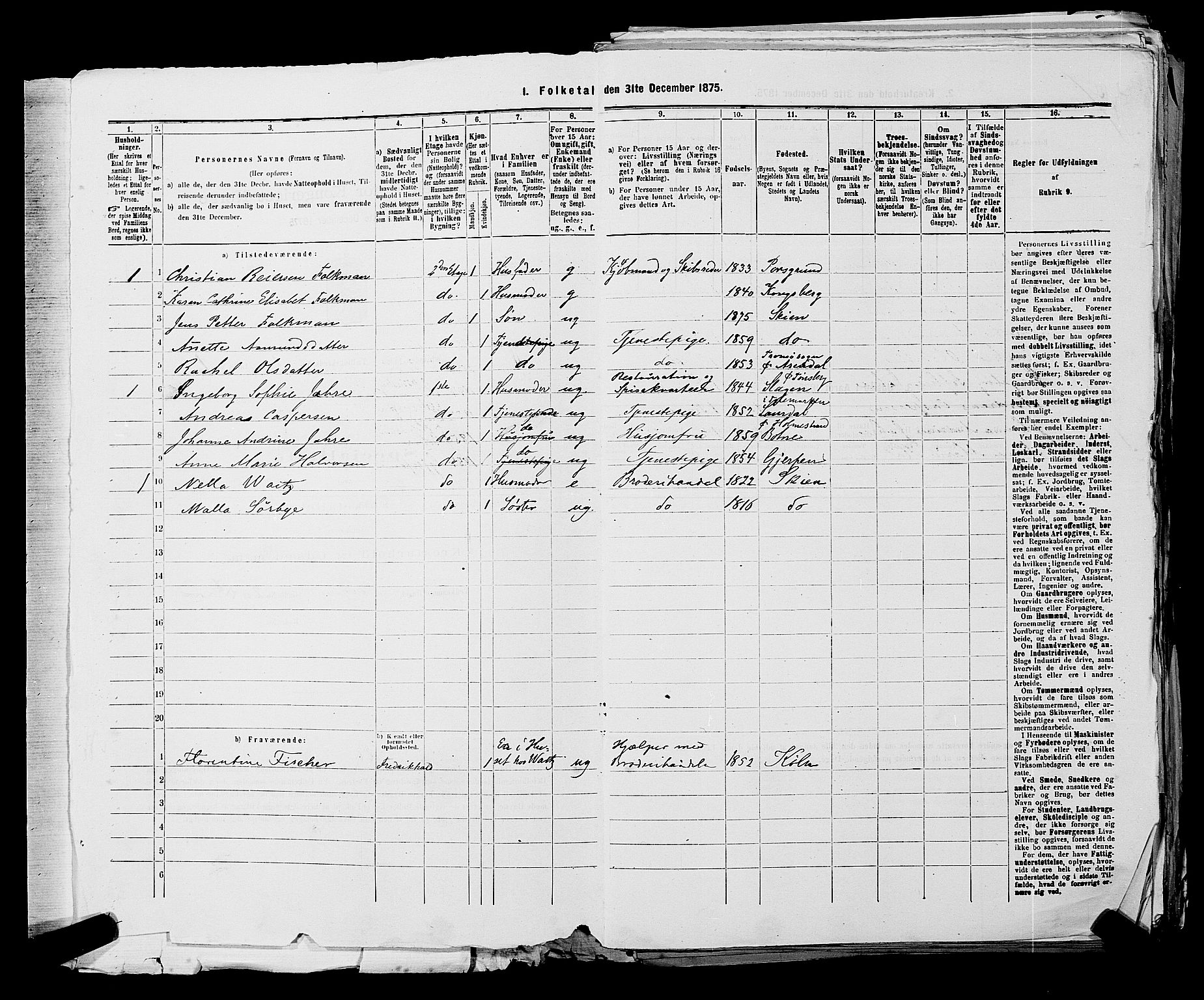 SAKO, 1875 census for 0806P Skien, 1875, p. 29