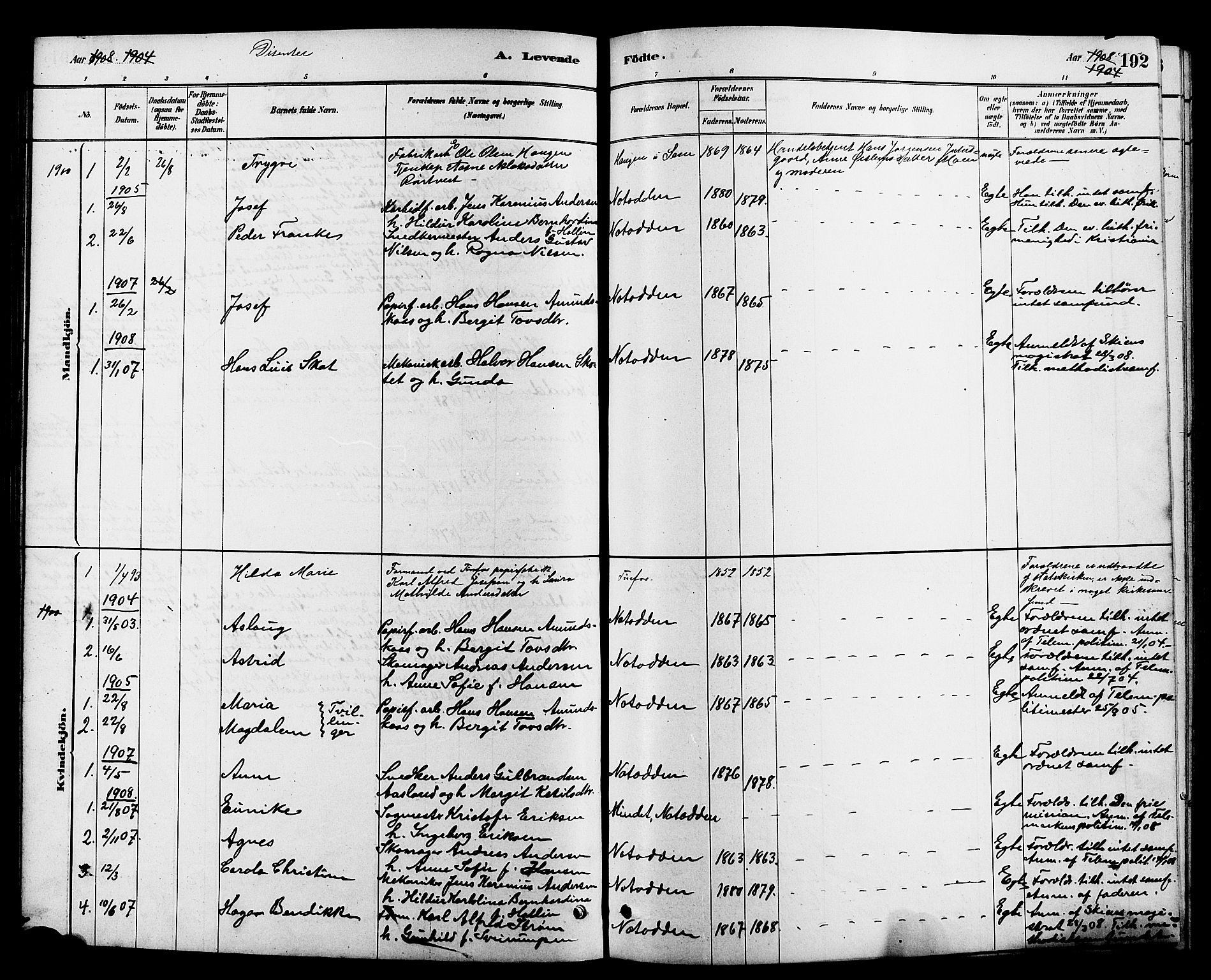 Heddal kirkebøker, SAKO/A-268/G/Ga/L0002: Parish register (copy) no. I 2, 1879-1908, p. 192