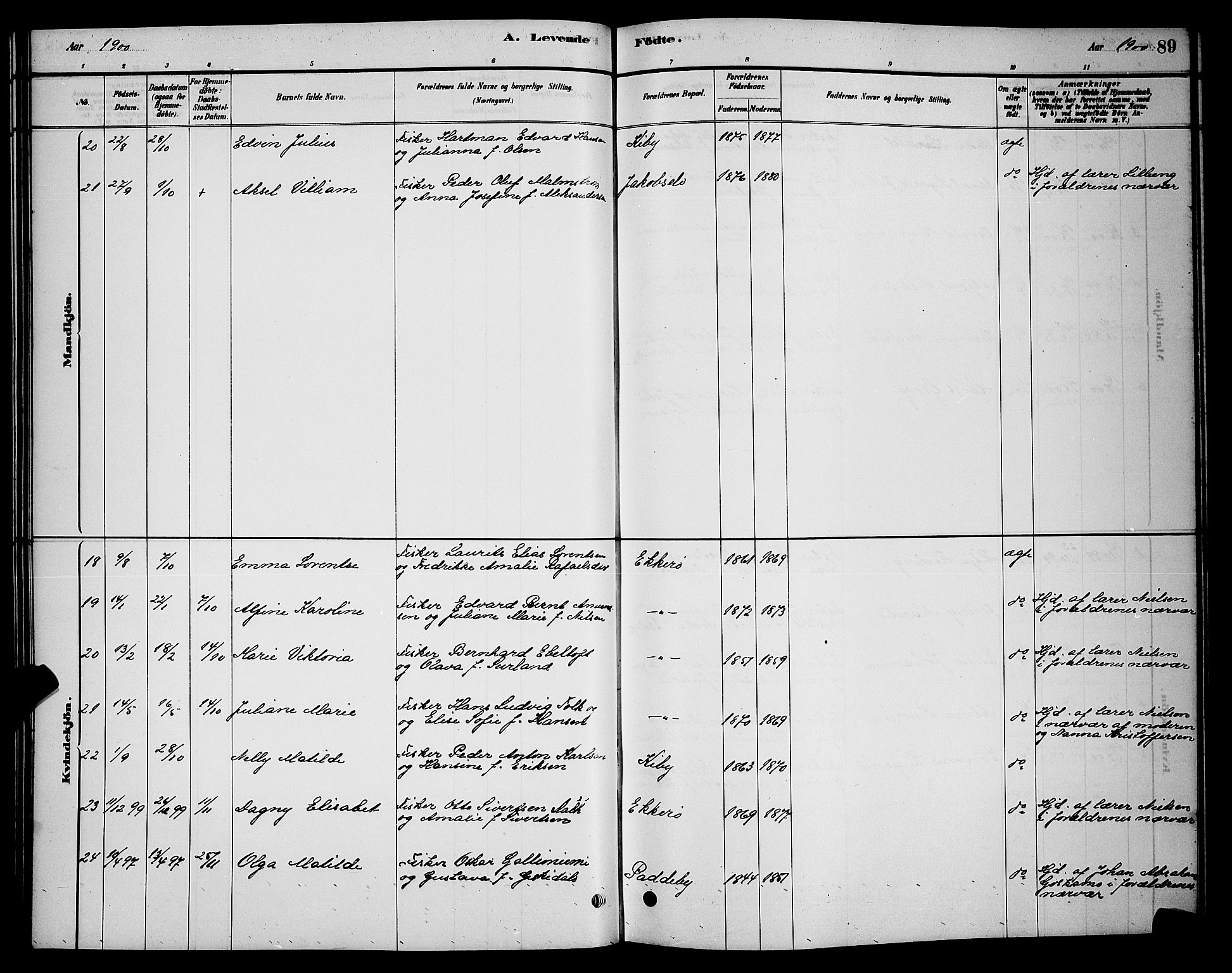 Vadsø sokneprestkontor, SATØ/S-1325/H/Hb/L0003klokker: Parish register (copy) no. 3, 1881-1901, p. 89