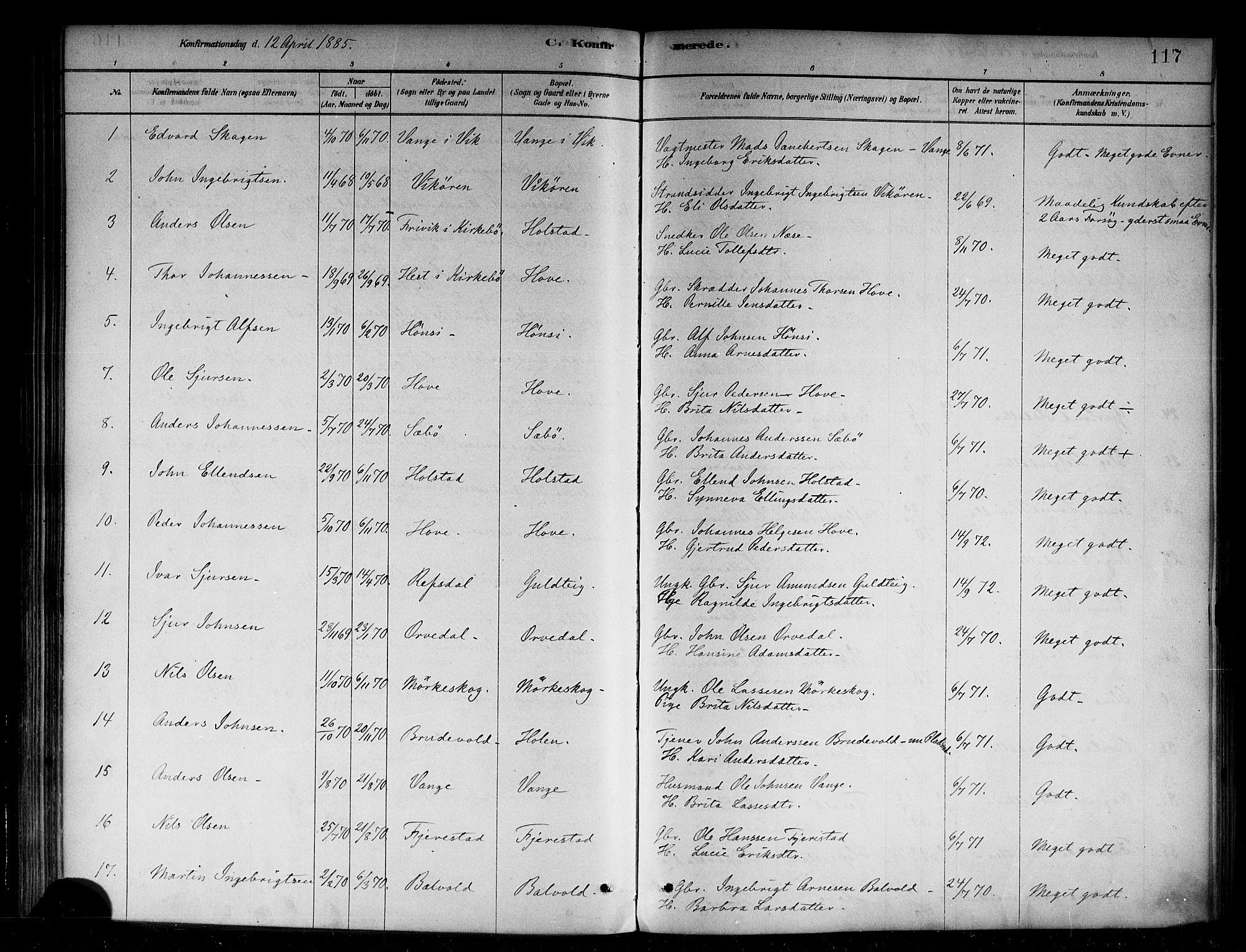 Vik sokneprestembete, AV/SAB-A-81501/H/Haa/Haab/L0001: Parish register (official) no. B 1, 1878-1890, p. 117