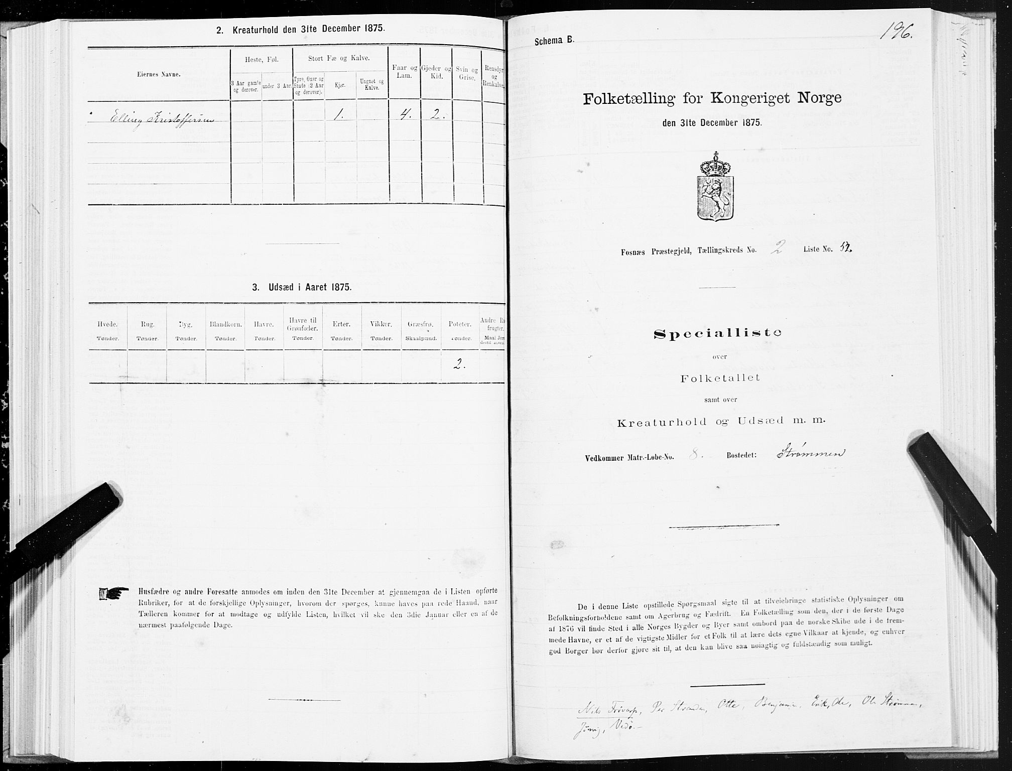 SAT, 1875 census for 1748P Fosnes, 1875, p. 3196