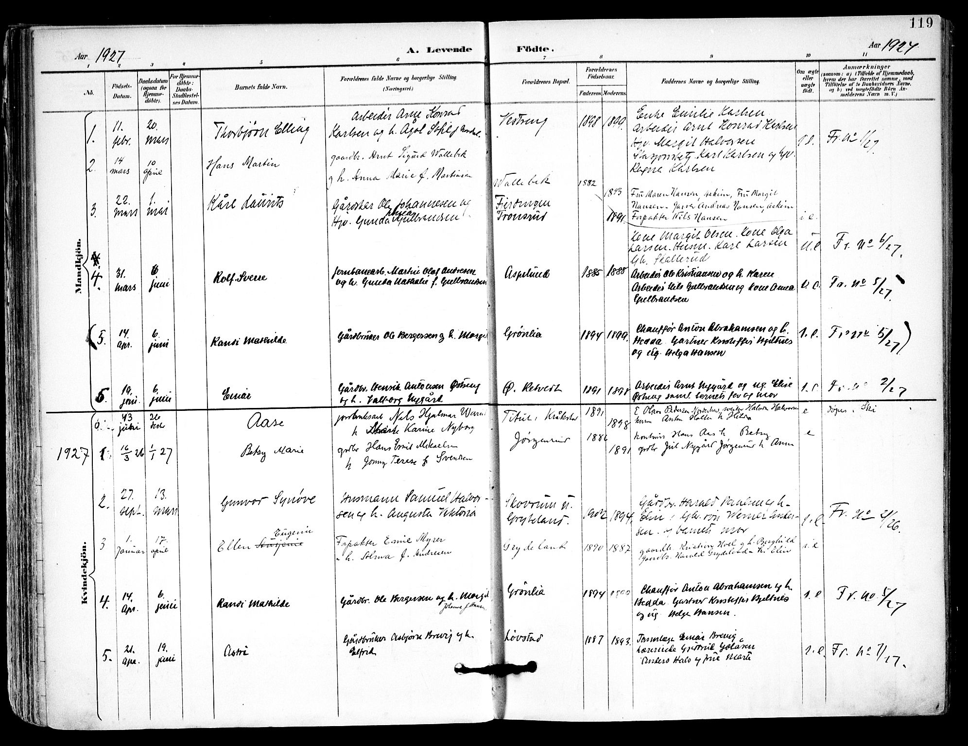 Kråkstad prestekontor Kirkebøker, SAO/A-10125a/F/Fa/L0010: Parish register (official) no. I 10, 1893-1931, p. 119