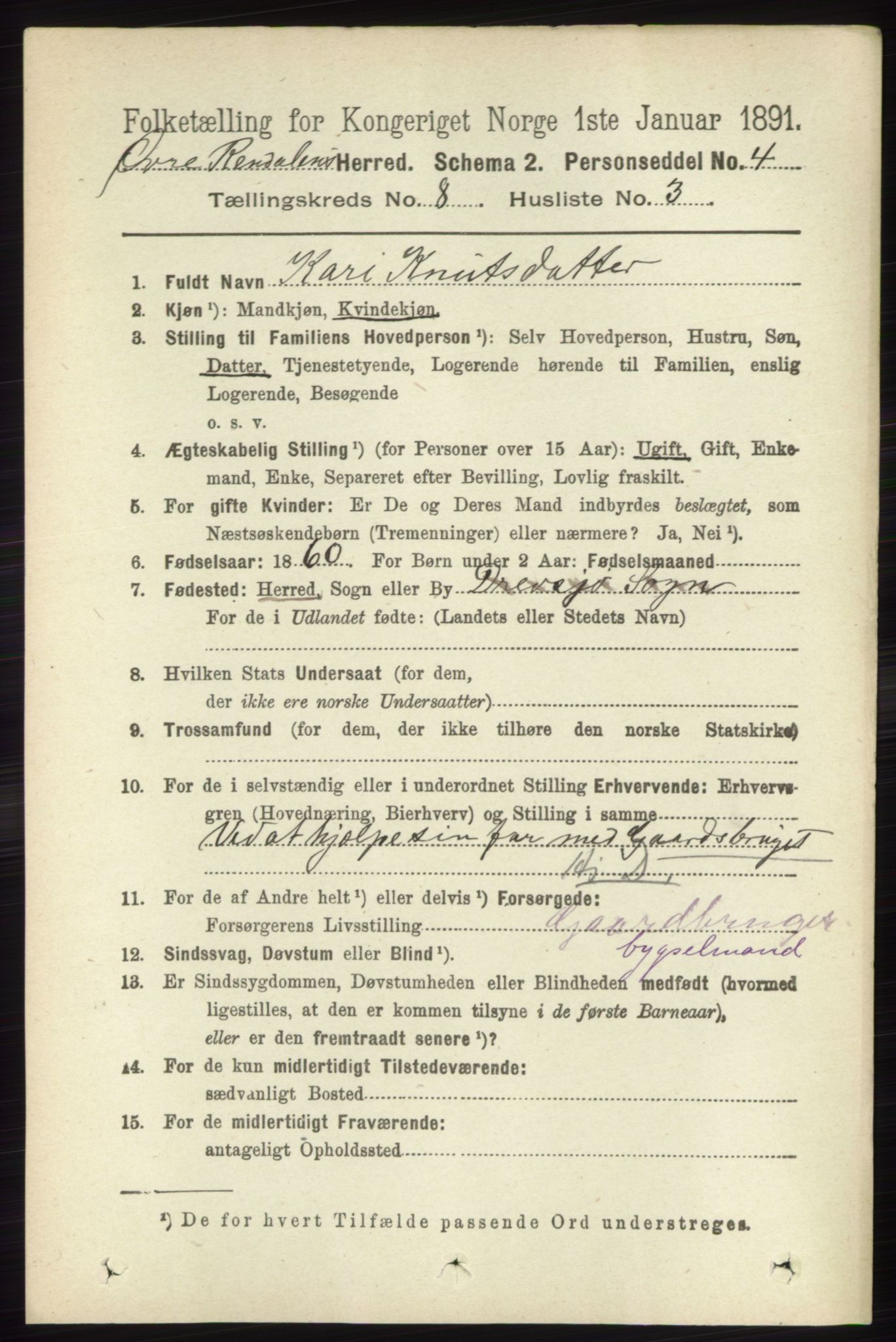 RA, 1891 census for 0433 Øvre Rendal, 1891, p. 2011