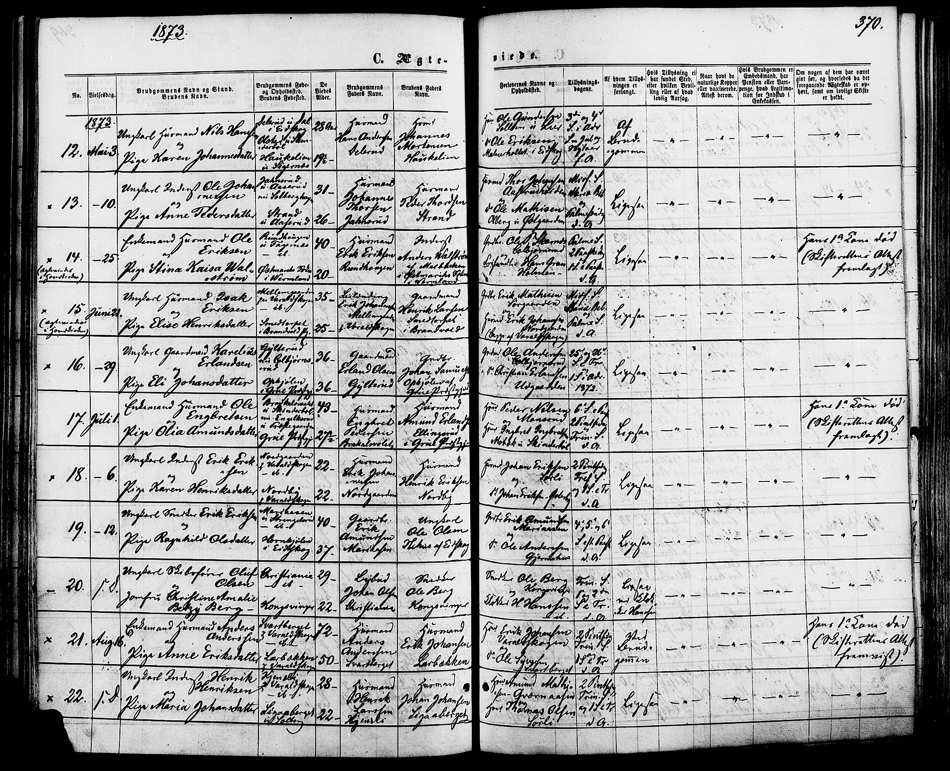 Vinger prestekontor, SAH/PREST-024/H/Ha/Haa/L0012: Parish register (official) no. 12, 1871-1880, p. 370