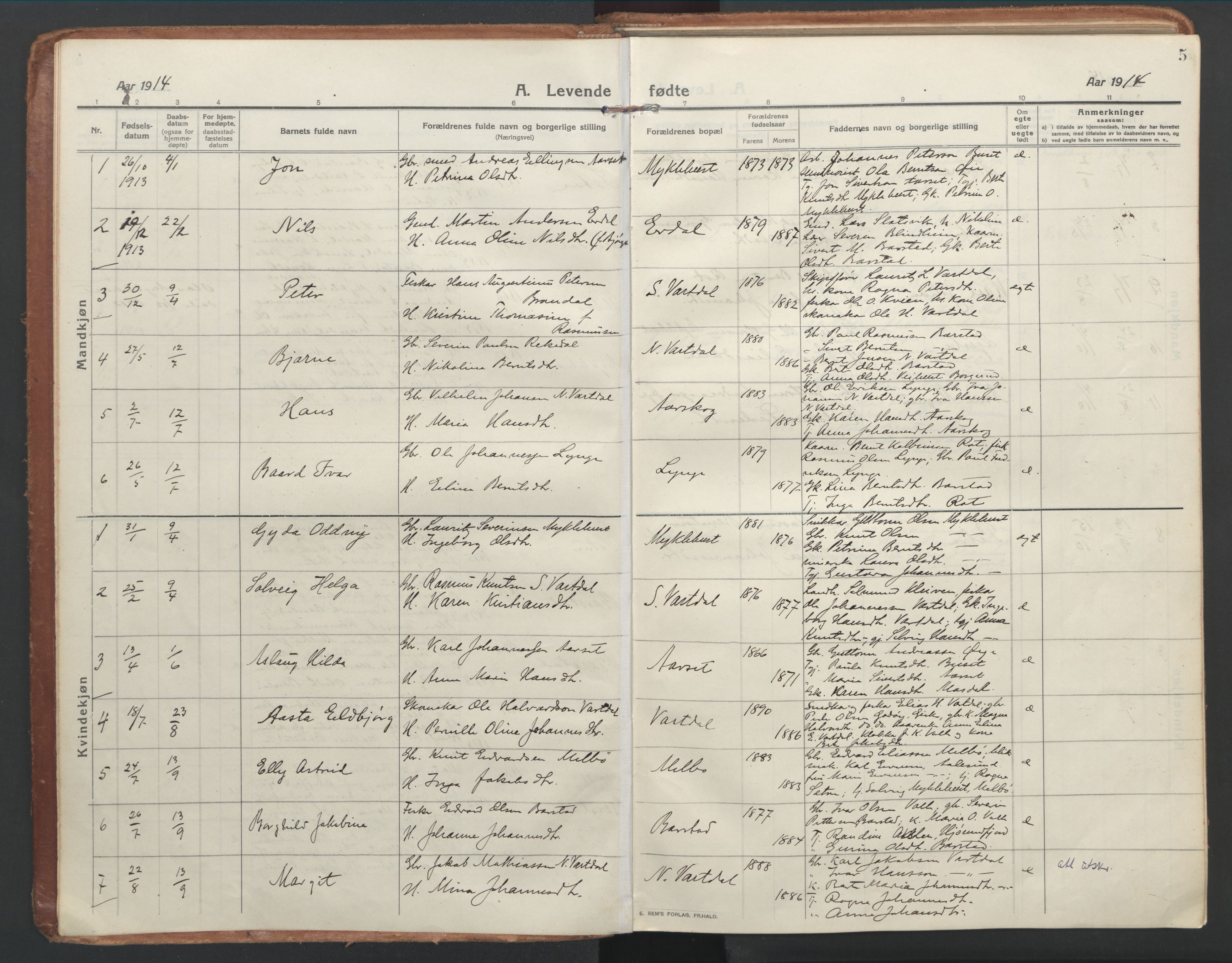 Ministerialprotokoller, klokkerbøker og fødselsregistre - Møre og Romsdal, AV/SAT-A-1454/514/L0200: Parish register (official) no. 514A02, 1913-1943, p. 5