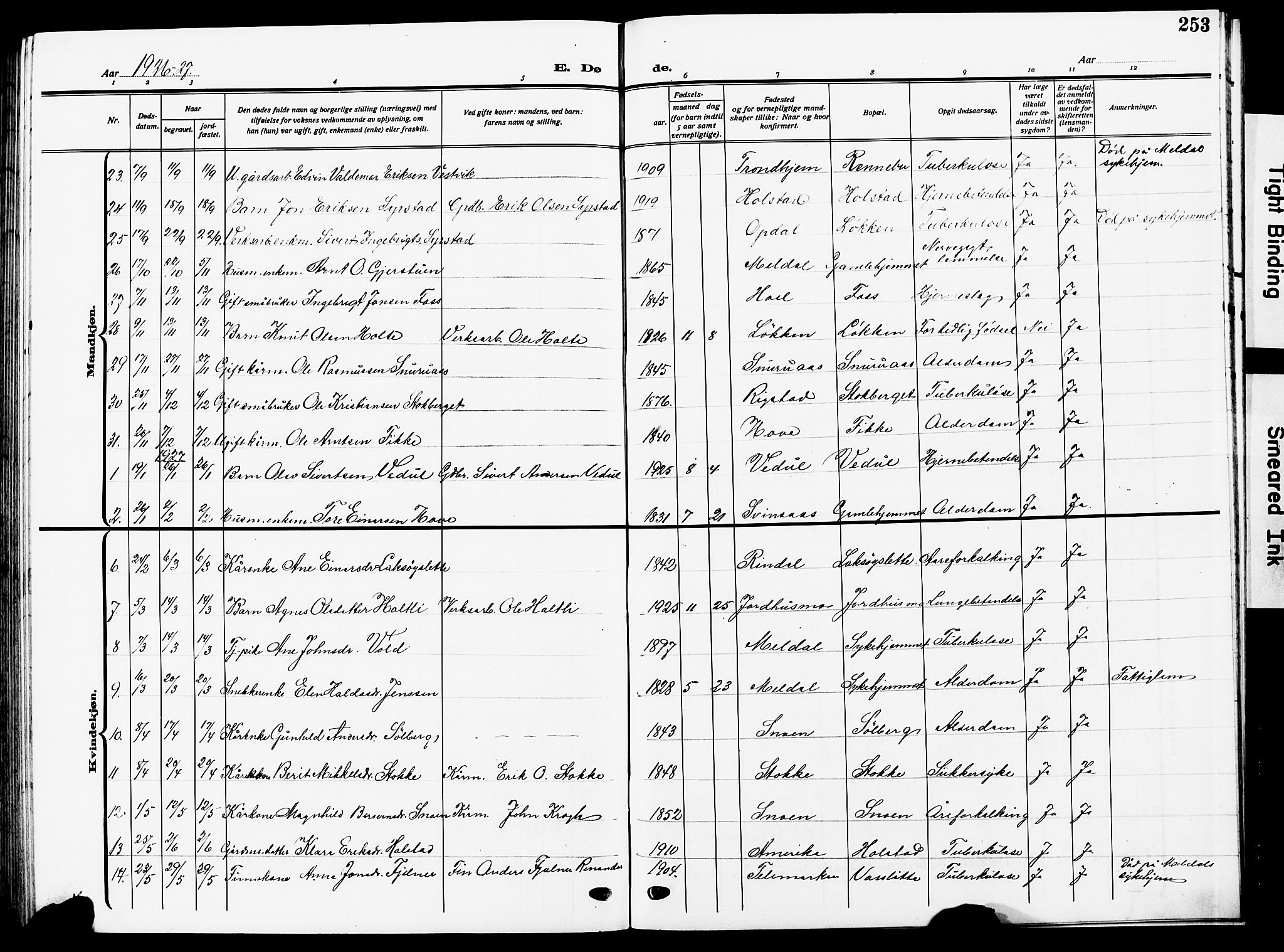 Ministerialprotokoller, klokkerbøker og fødselsregistre - Sør-Trøndelag, SAT/A-1456/672/L0865: Parish register (copy) no. 672C04, 1914-1928, p. 253