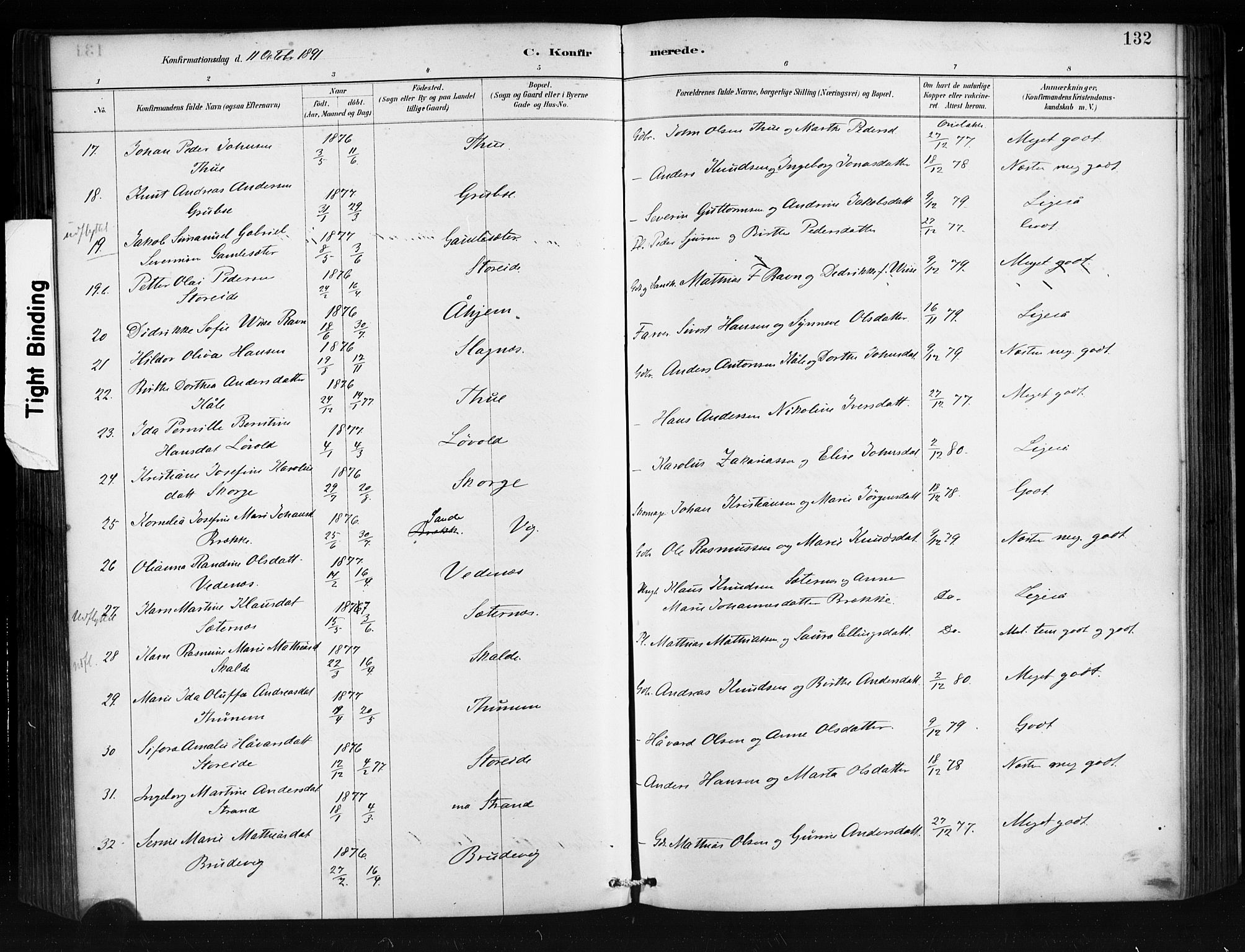 Ministerialprotokoller, klokkerbøker og fødselsregistre - Møre og Romsdal, AV/SAT-A-1454/501/L0008: Parish register (official) no. 501A08, 1885-1901, p. 132