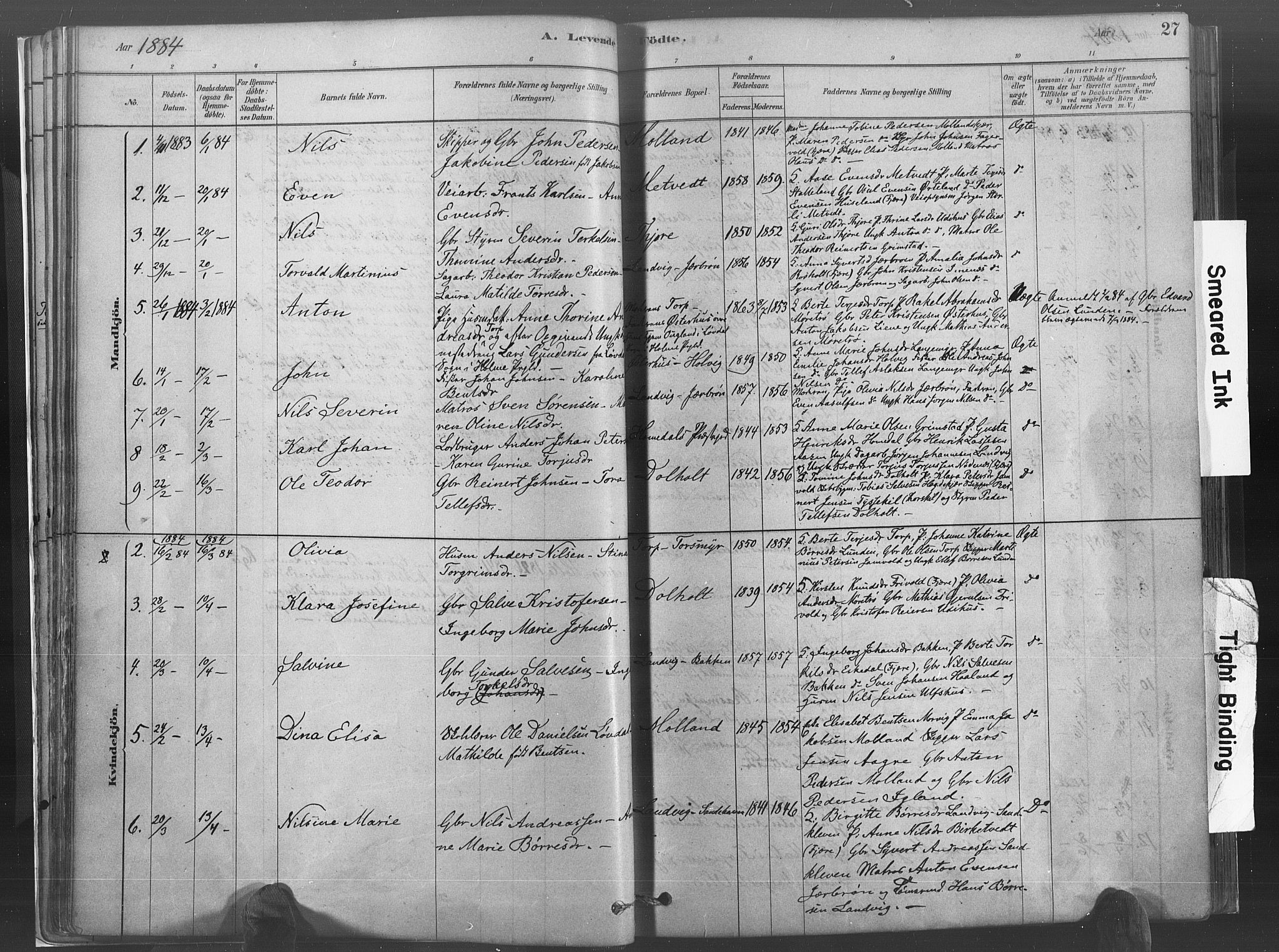 Hommedal sokneprestkontor, SAK/1111-0023/F/Fa/Fab/L0006: Parish register (official) no. A 6, 1878-1897, p. 27