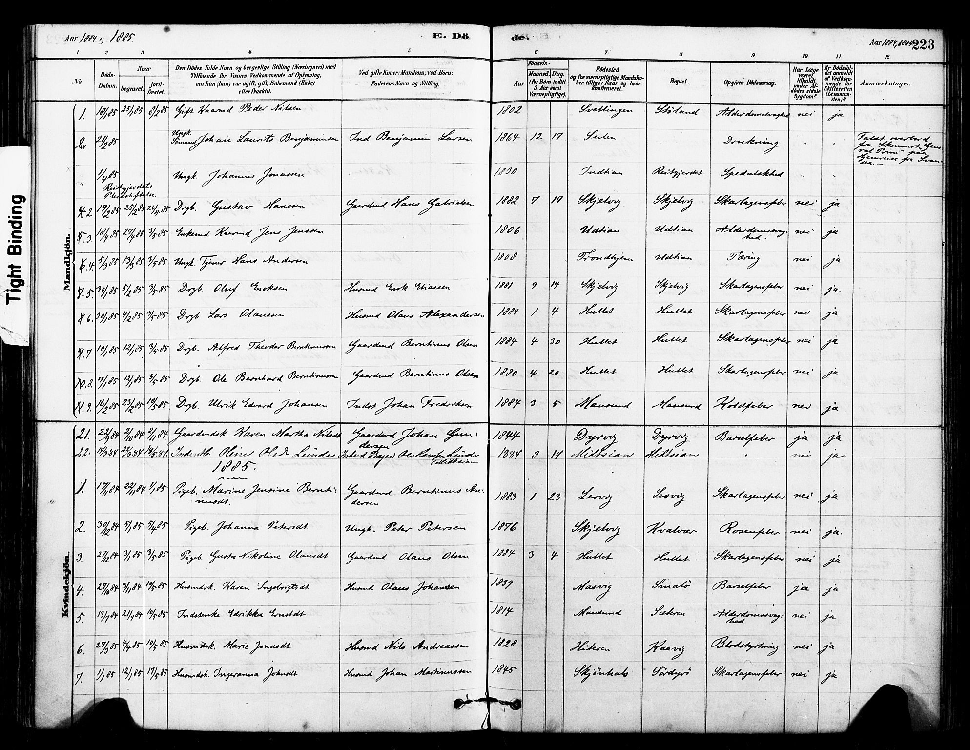 Ministerialprotokoller, klokkerbøker og fødselsregistre - Sør-Trøndelag, SAT/A-1456/640/L0578: Parish register (official) no. 640A03, 1879-1889, p. 223