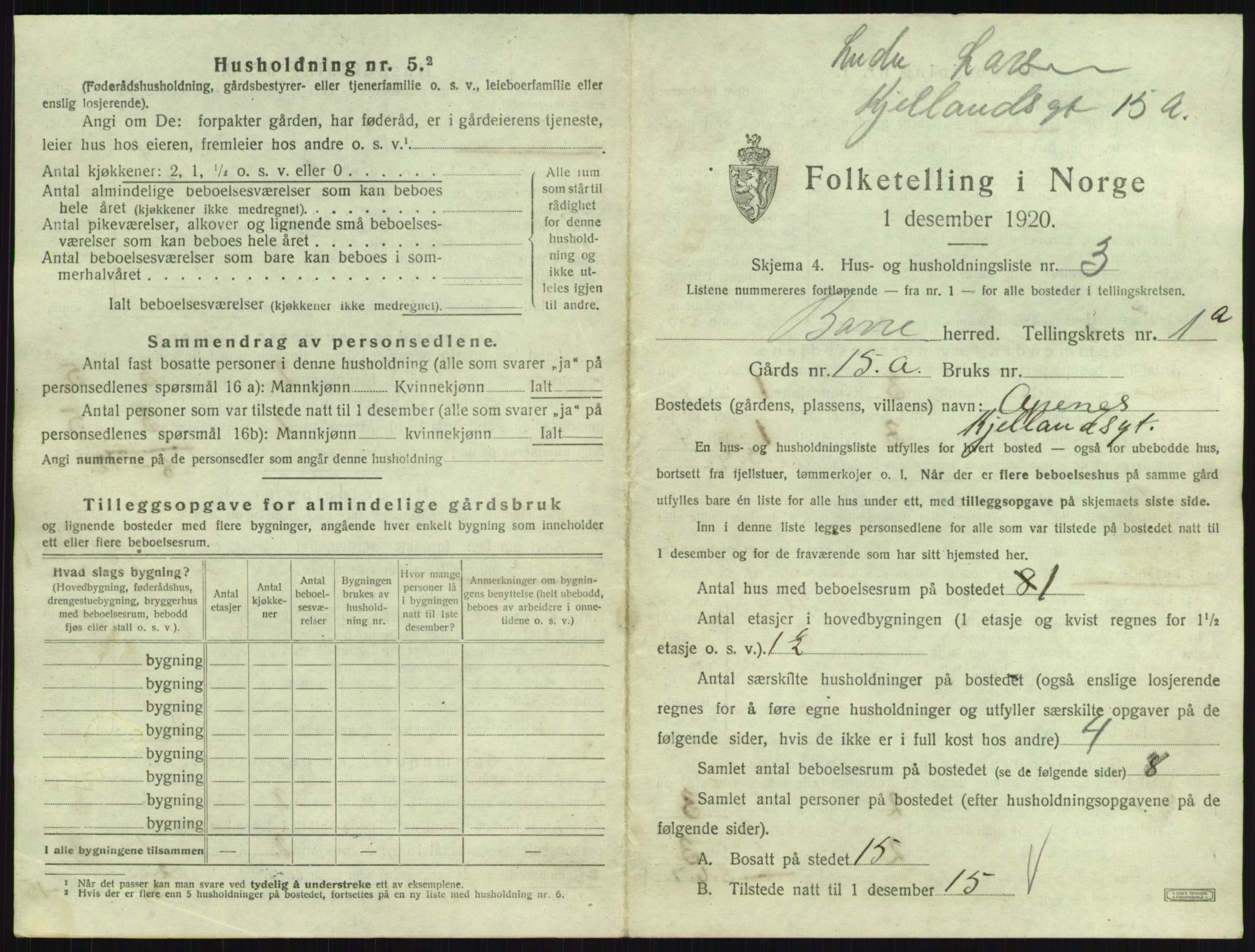 SAKO, 1920 census for Borre, 1920, p. 36