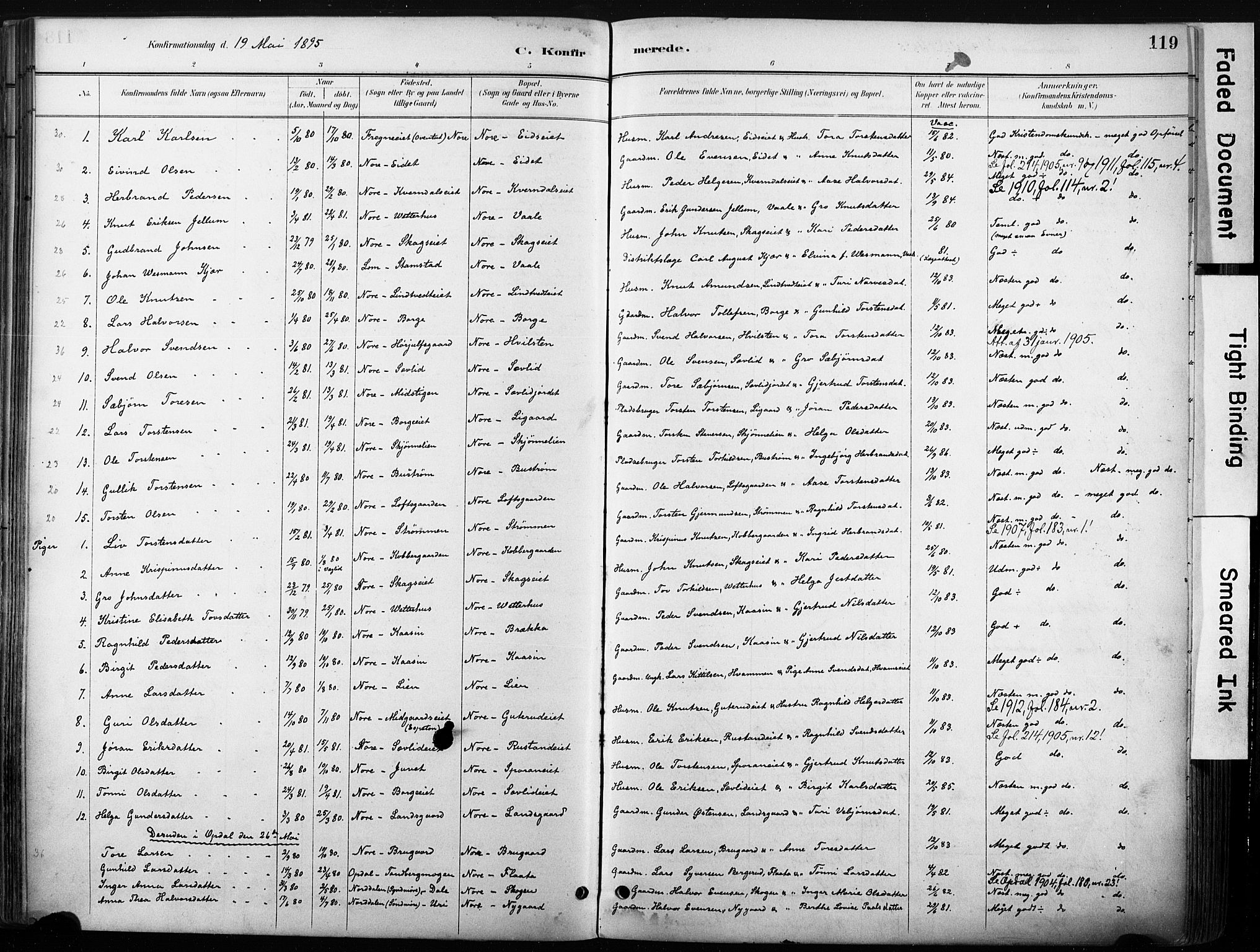 Nore kirkebøker, AV/SAKO-A-238/F/Fb/L0002: Parish register (official) no. II 2, 1886-1906, p. 119