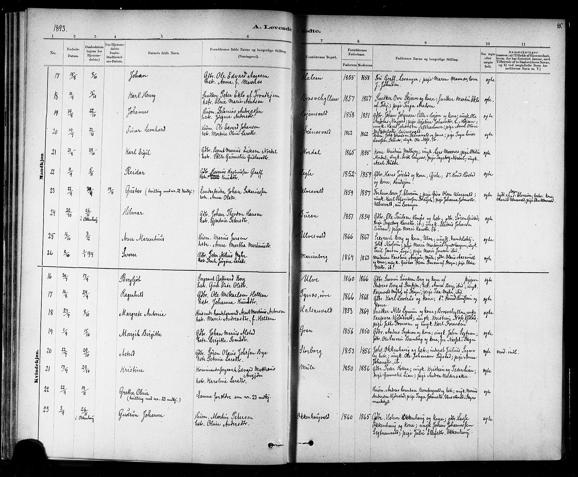 Ministerialprotokoller, klokkerbøker og fødselsregistre - Nord-Trøndelag, AV/SAT-A-1458/721/L0208: Parish register (copy) no. 721C01, 1880-1917, p. 45