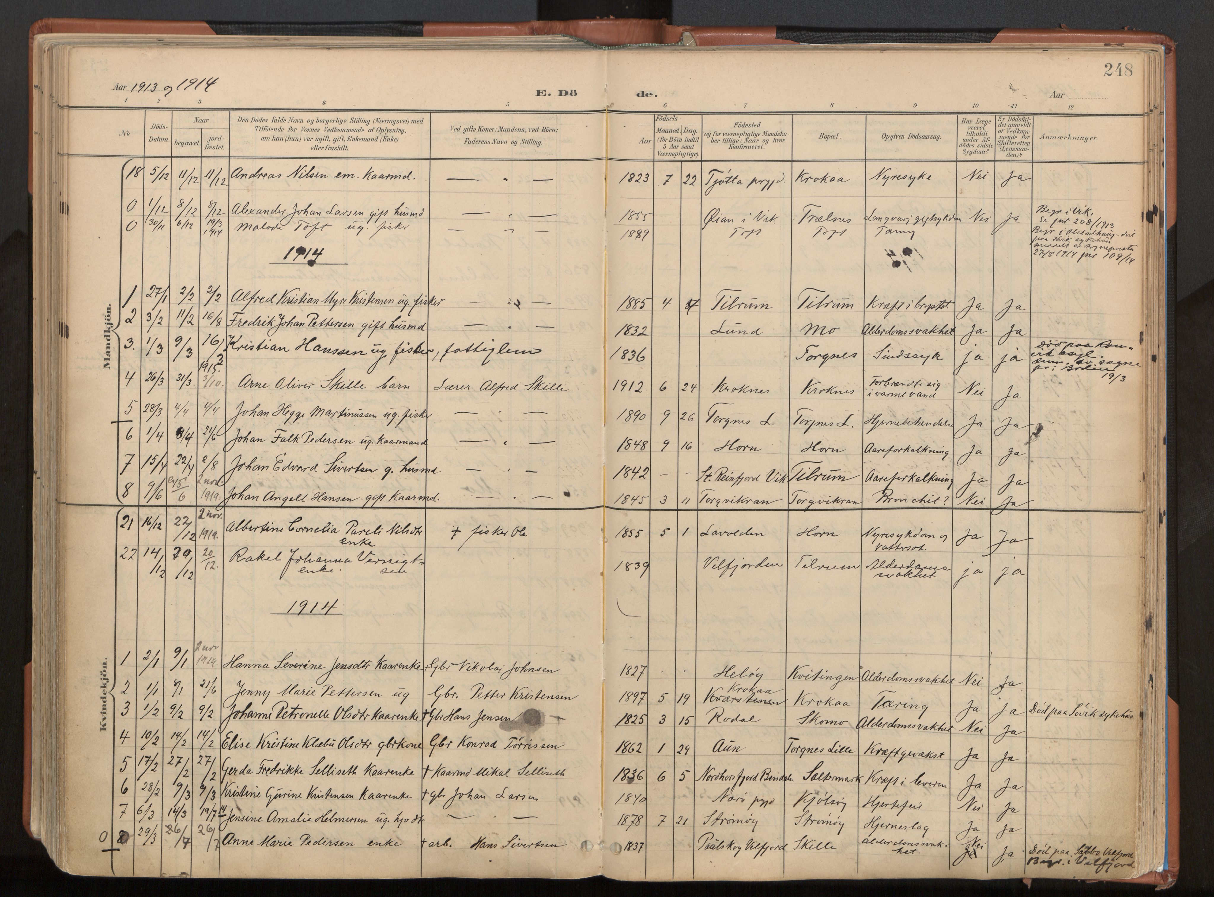 Ministerialprotokoller, klokkerbøker og fødselsregistre - Nordland, SAT/A-1459/813/L0201: Parish register (official) no. 813A11, 1901-1918, p. 248