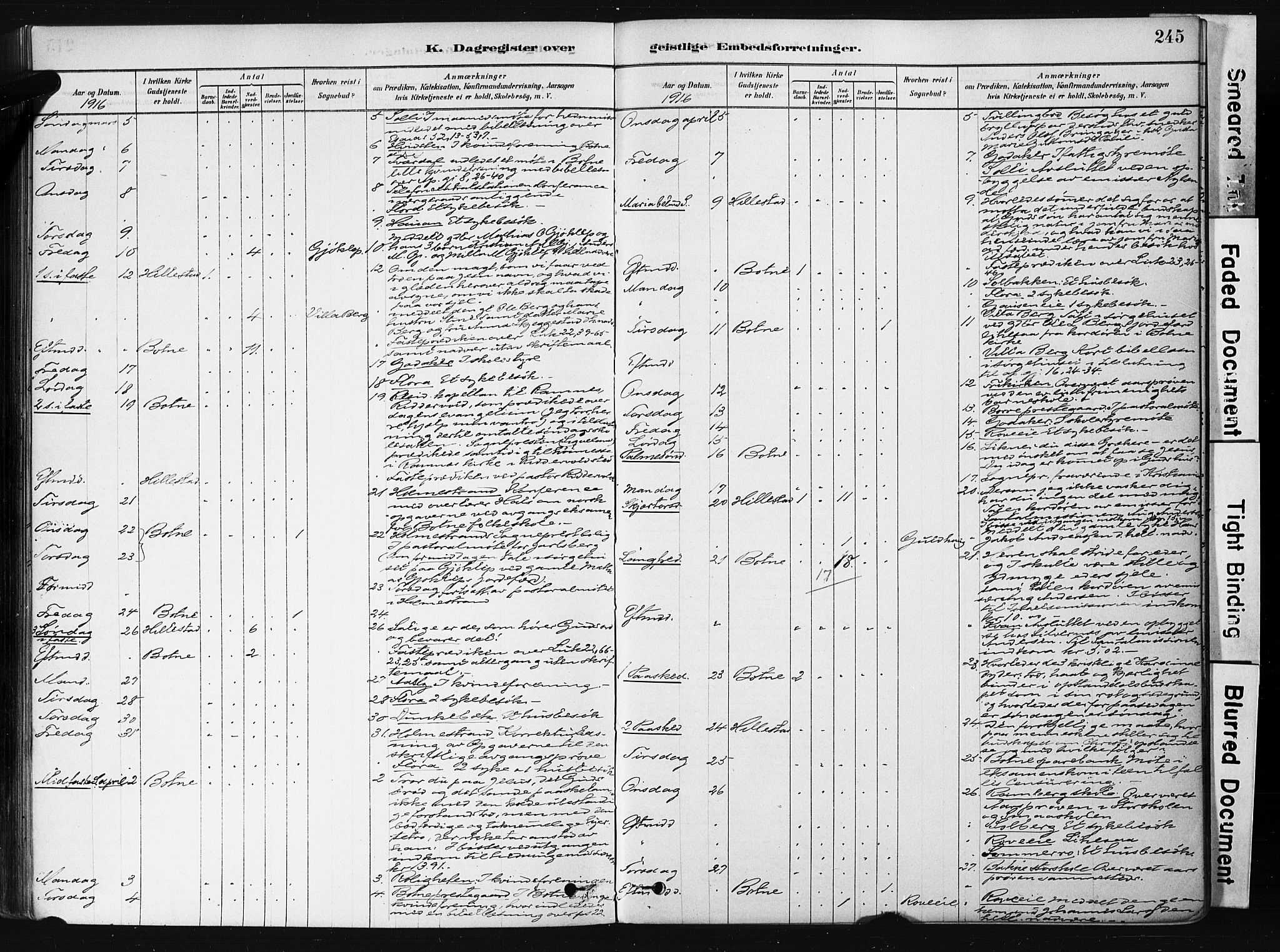 Botne kirkebøker, AV/SAKO-A-340/F/Fb/L0001: Parish register (official) no. II 1, 1878-1902, p. 245