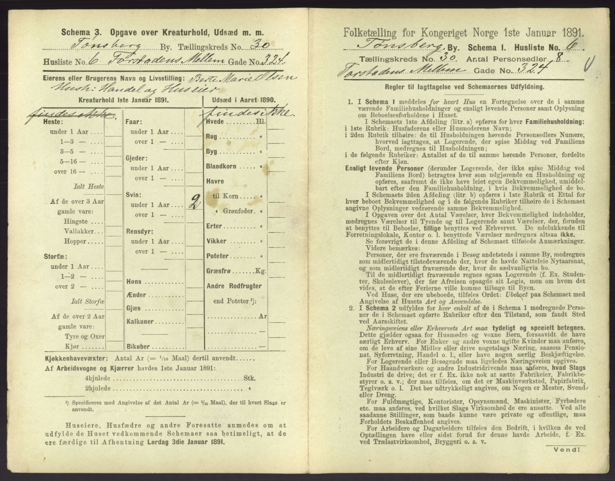 RA, 1891 census for 0705 Tønsberg, 1891, p. 920