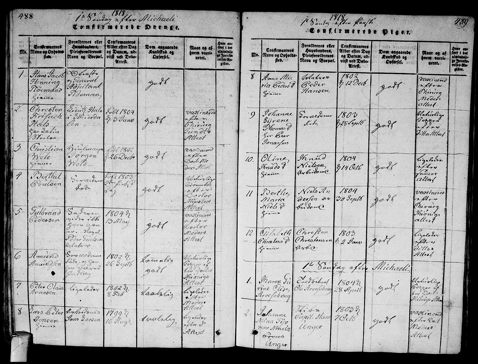 Strømsø kirkebøker, AV/SAKO-A-246/G/Ga/L0001: Parish register (copy) no. 1, 1815-1829, p. 488-489