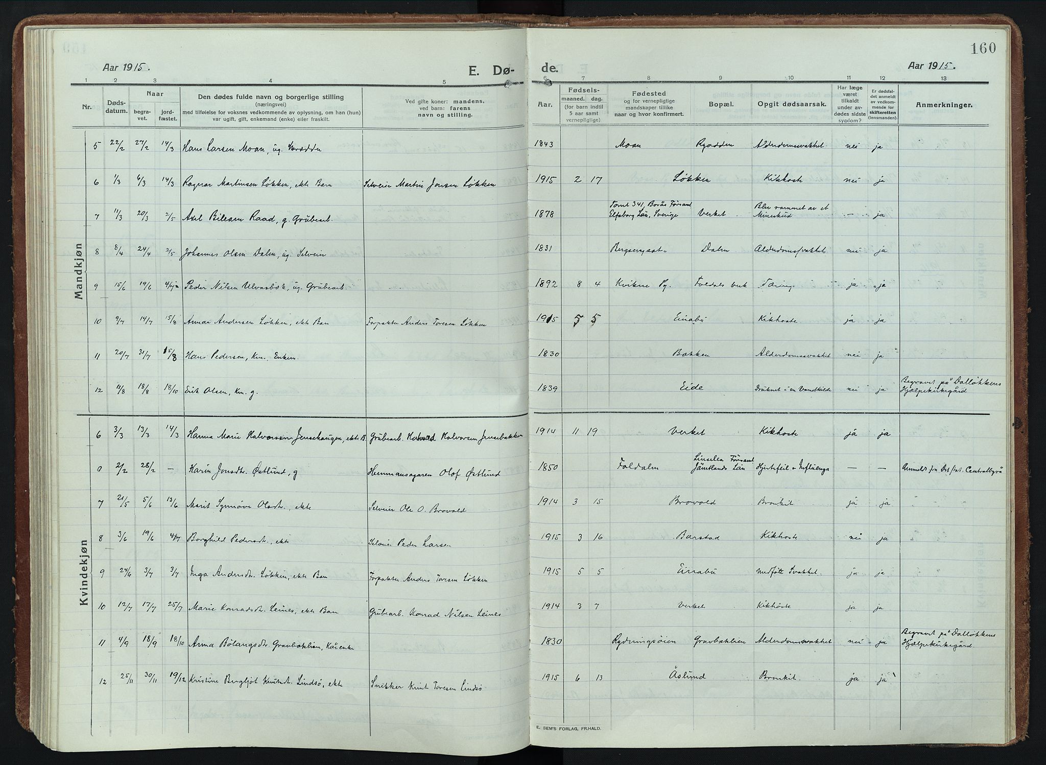 Alvdal prestekontor, SAH/PREST-060/H/Ha/Haa/L0005: Parish register (official) no. 5, 1913-1930, p. 160
