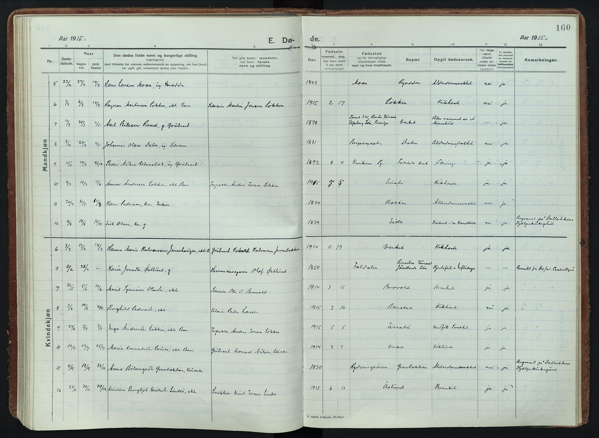 Alvdal prestekontor, AV/SAH-PREST-060/H/Ha/Haa/L0005: Parish register (official) no. 5, 1913-1930, p. 160