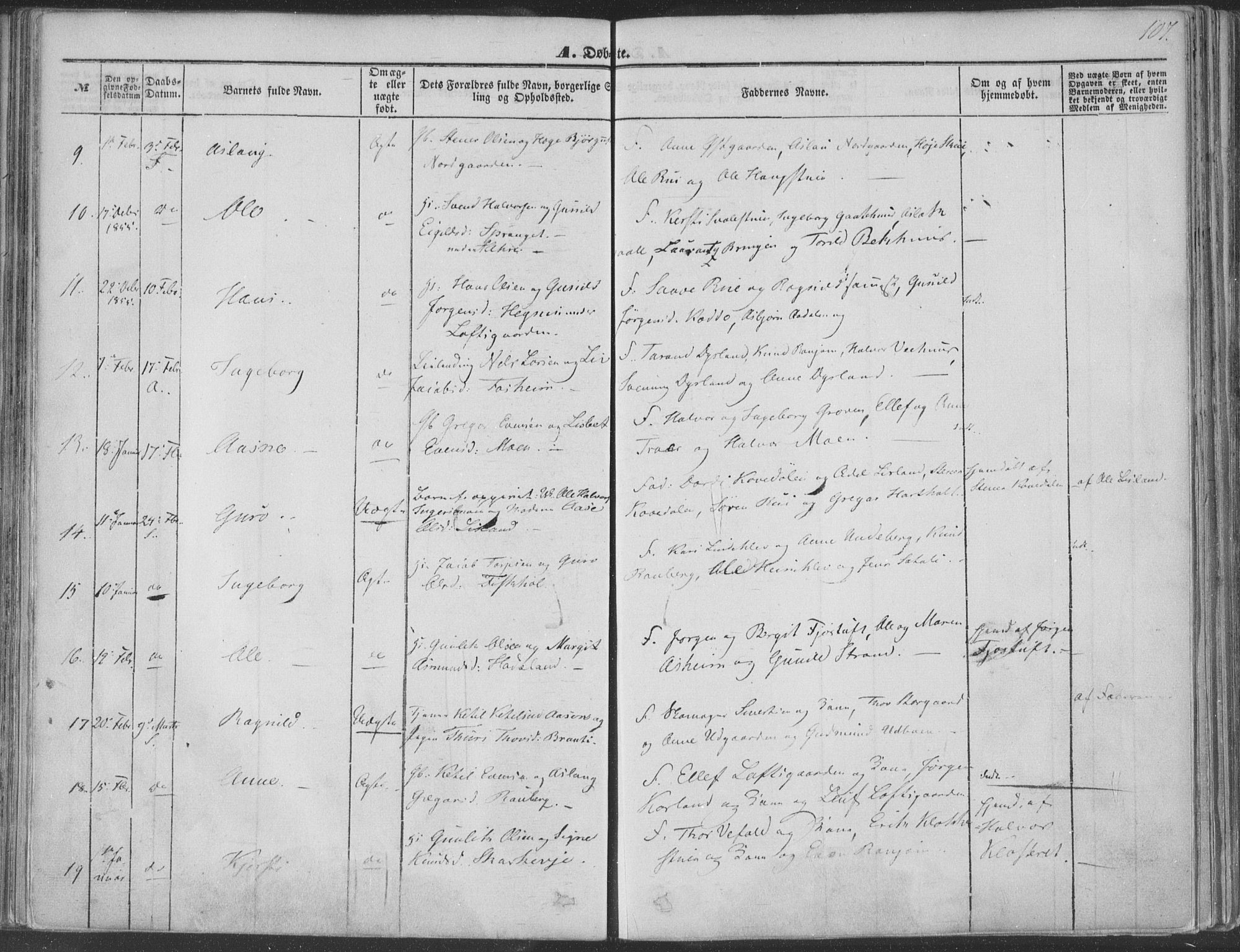 Seljord kirkebøker, SAKO/A-20/F/Fa/L012a: Parish register (official) no. I 12A, 1850-1865, p. 107