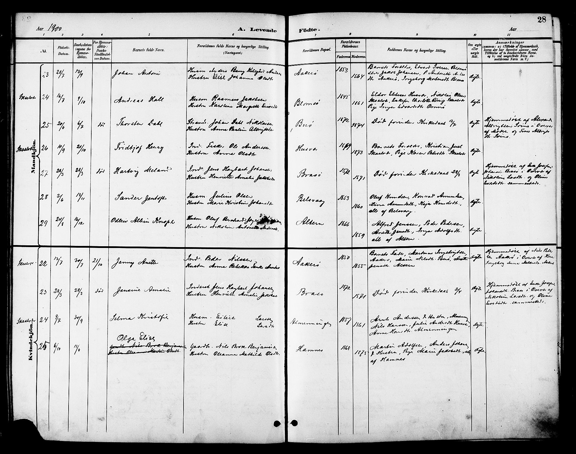 Ministerialprotokoller, klokkerbøker og fødselsregistre - Nordland, AV/SAT-A-1459/830/L0463: Parish register (copy) no. 830C05, 1895-1906, p. 28