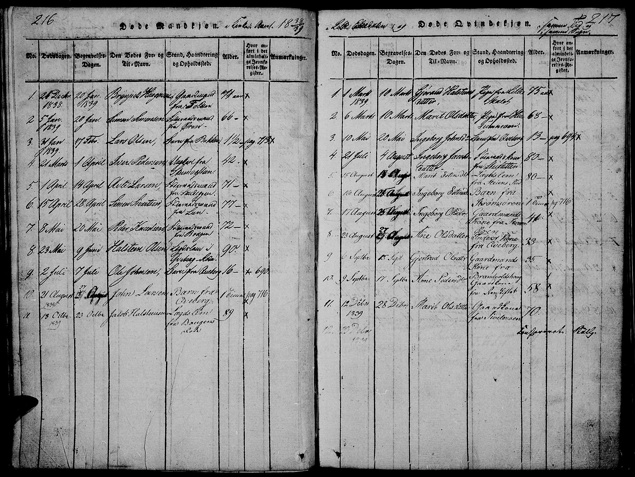 Tynset prestekontor, SAH/PREST-058/H/Ha/Hab/L0002: Parish register (copy) no. 2, 1814-1862, p. 216-217