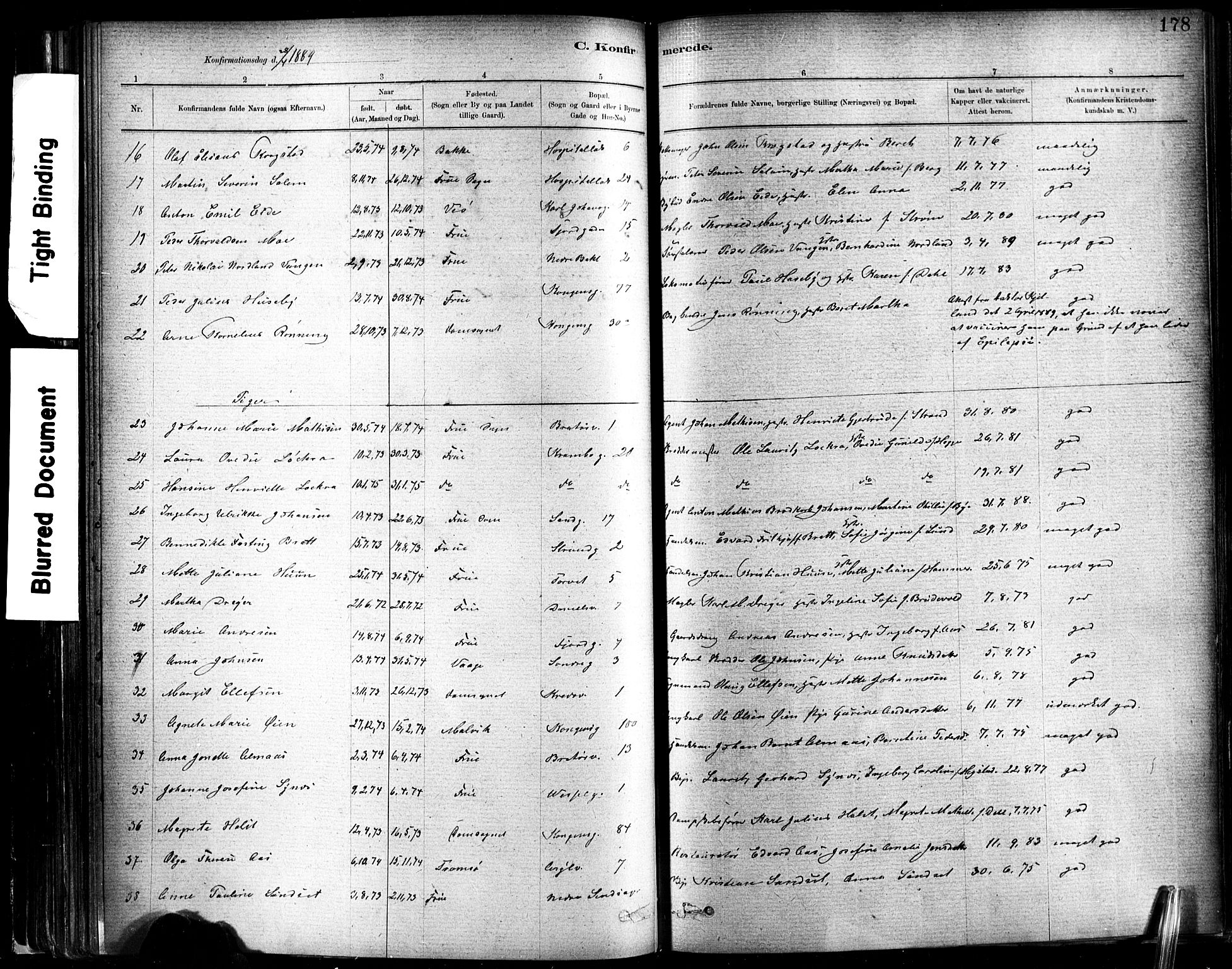 Ministerialprotokoller, klokkerbøker og fødselsregistre - Sør-Trøndelag, SAT/A-1456/602/L0119: Parish register (official) no. 602A17, 1880-1901, p. 178