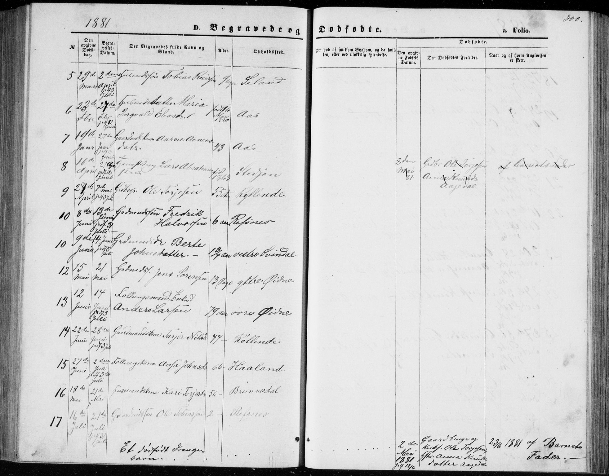 Bjelland sokneprestkontor, SAK/1111-0005/F/Fb/Fbc/L0002: Parish register (copy) no. B 2, 1867-1887, p. 300