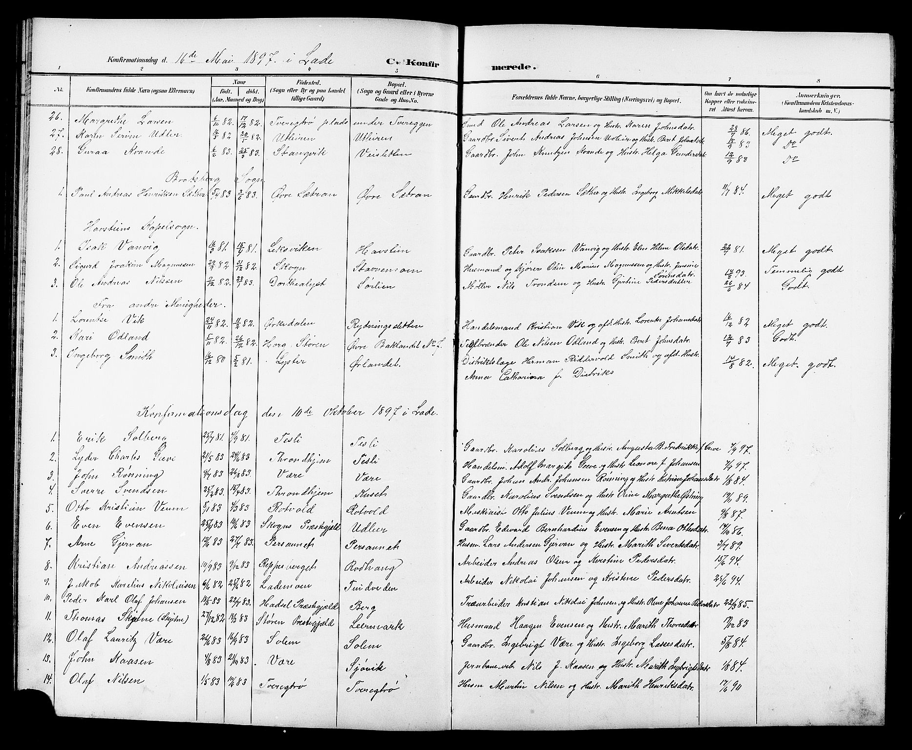 Ministerialprotokoller, klokkerbøker og fødselsregistre - Sør-Trøndelag, SAT/A-1456/606/L0313: Parish register (copy) no. 606C09, 1895-1910