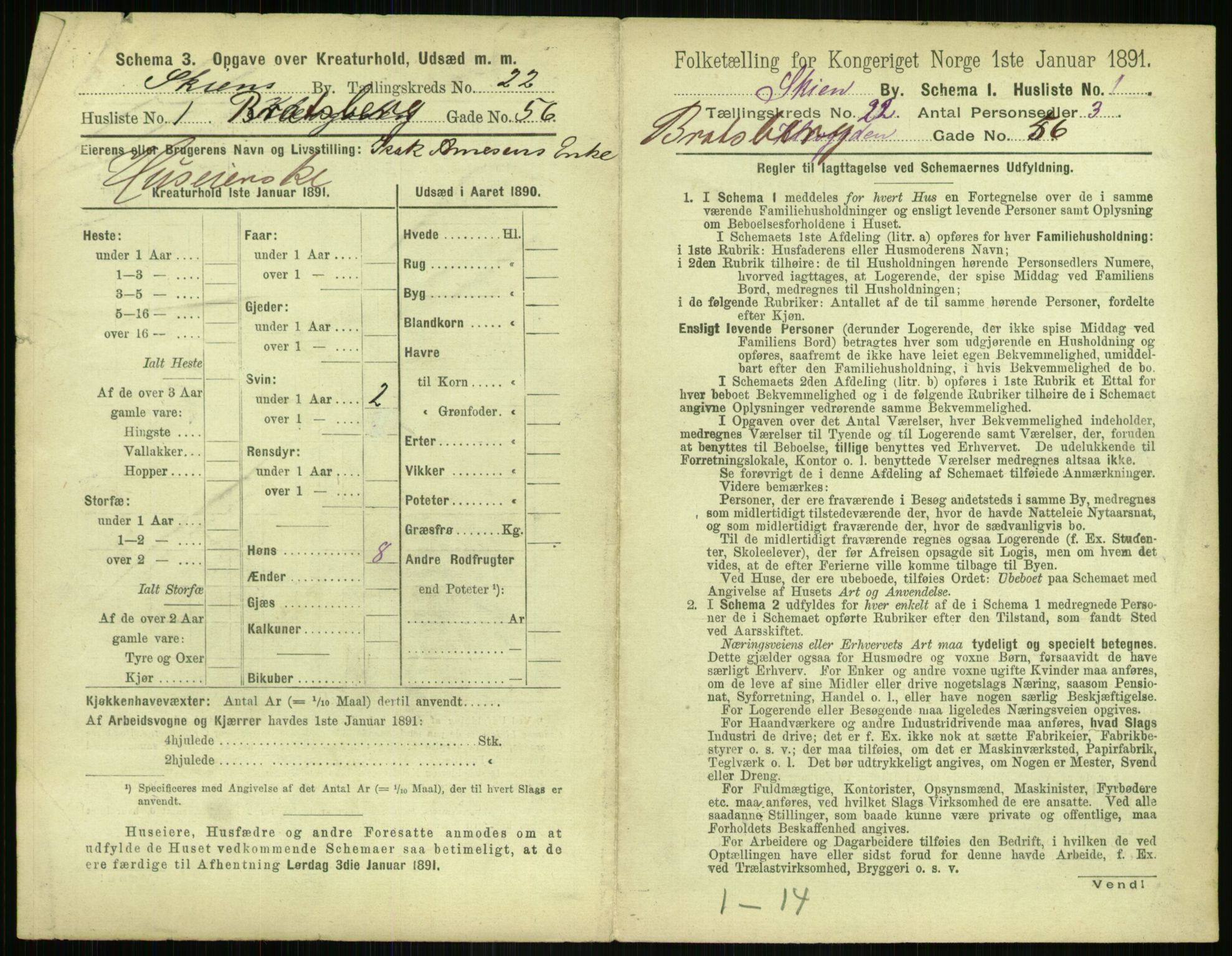 RA, 1891 census for 0806 Skien, 1891, p. 850