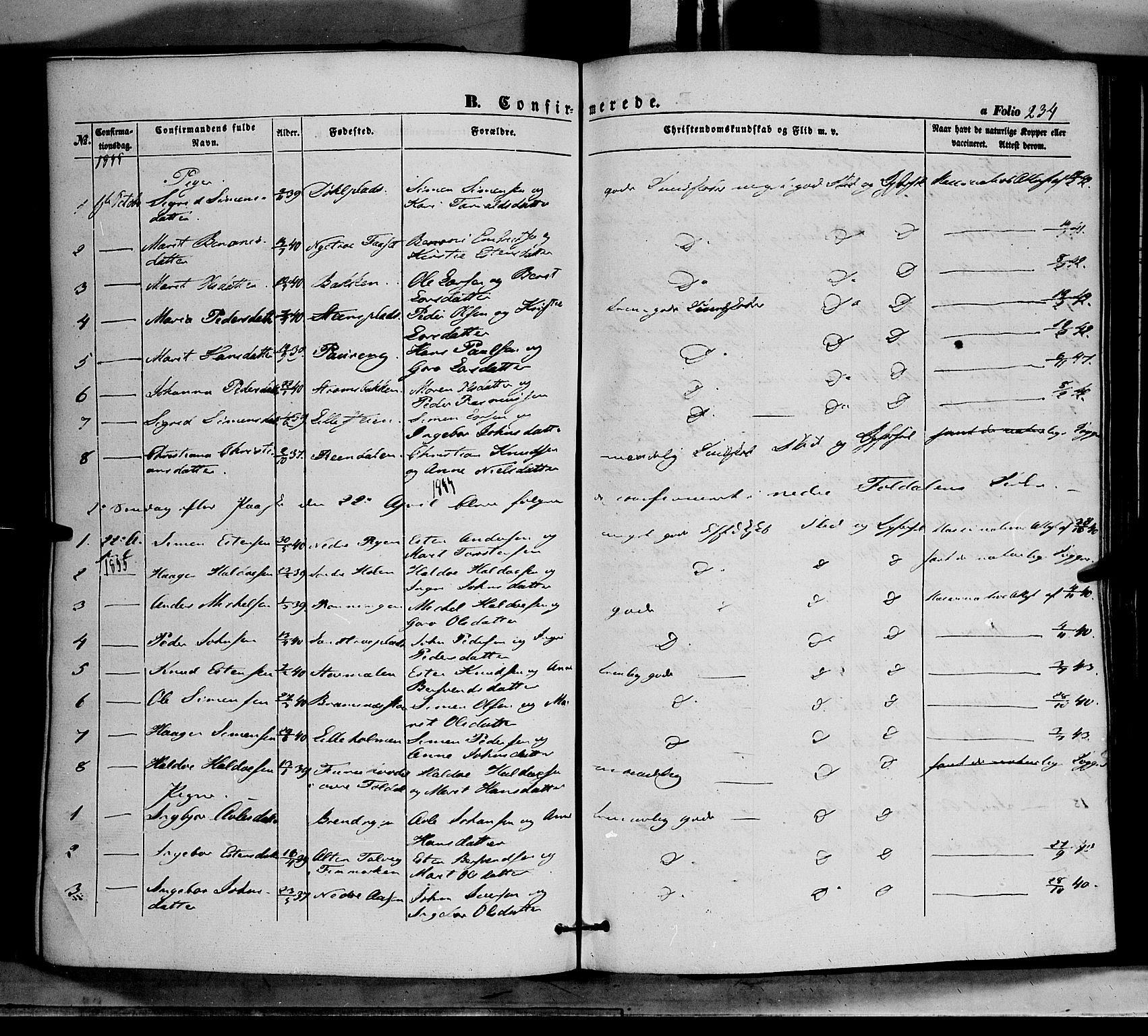 Tynset prestekontor, SAH/PREST-058/H/Ha/Haa/L0020: Parish register (official) no. 20, 1848-1862, p. 234