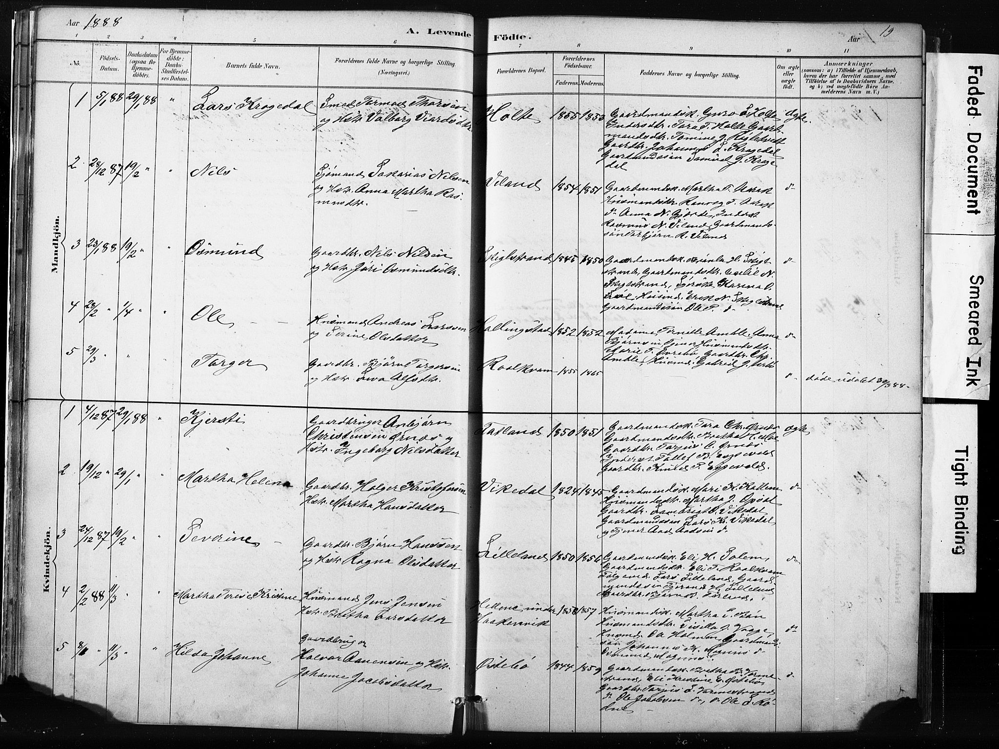 Vikedal sokneprestkontor, AV/SAST-A-101840/01/IV: Parish register (official) no. A 10, 1884-1907, p. 19