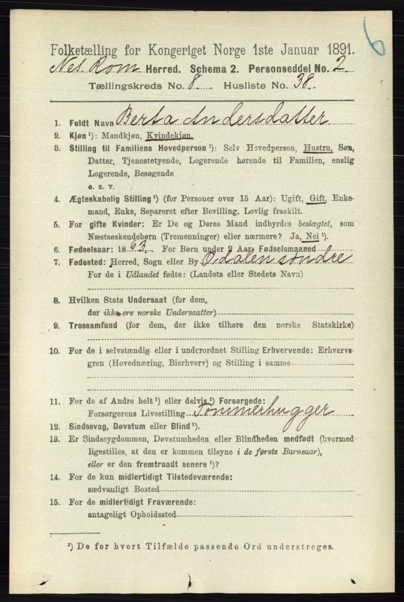 RA, 1891 census for 0236 Nes, 1891, p. 4842