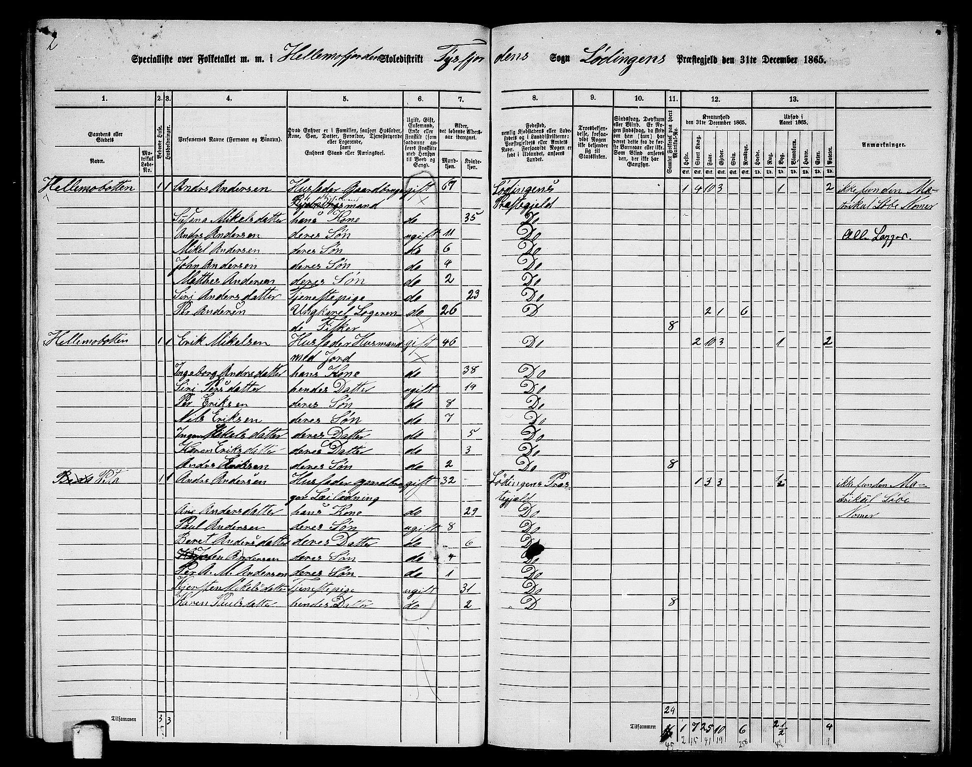 RA, 1865 census for Lødingen, 1865, p. 142