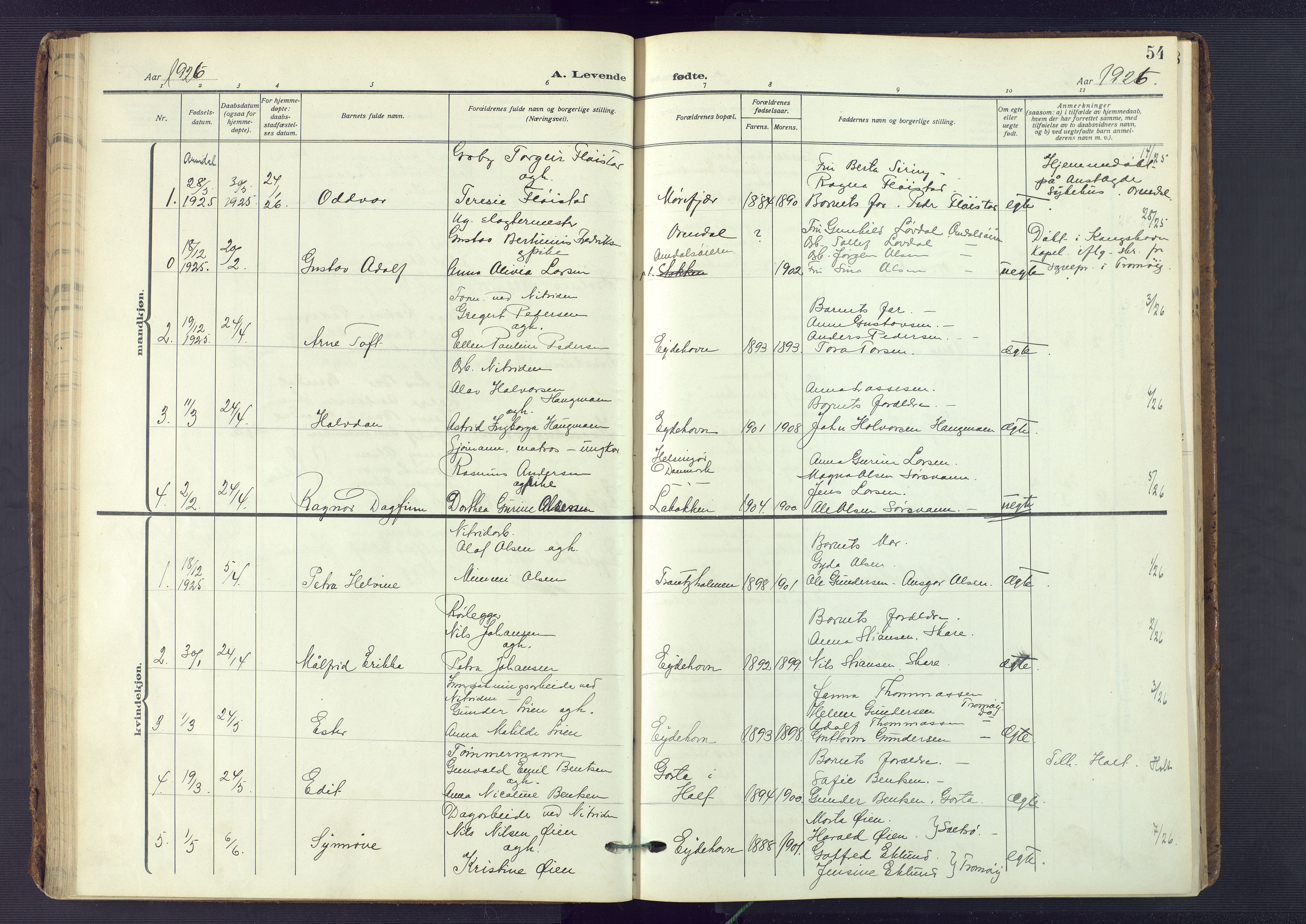 Austre Moland sokneprestkontor, AV/SAK-1111-0001/F/Fa/Fab/L0003: Parish register (official) no. A 3, 1914-1927, p. 54