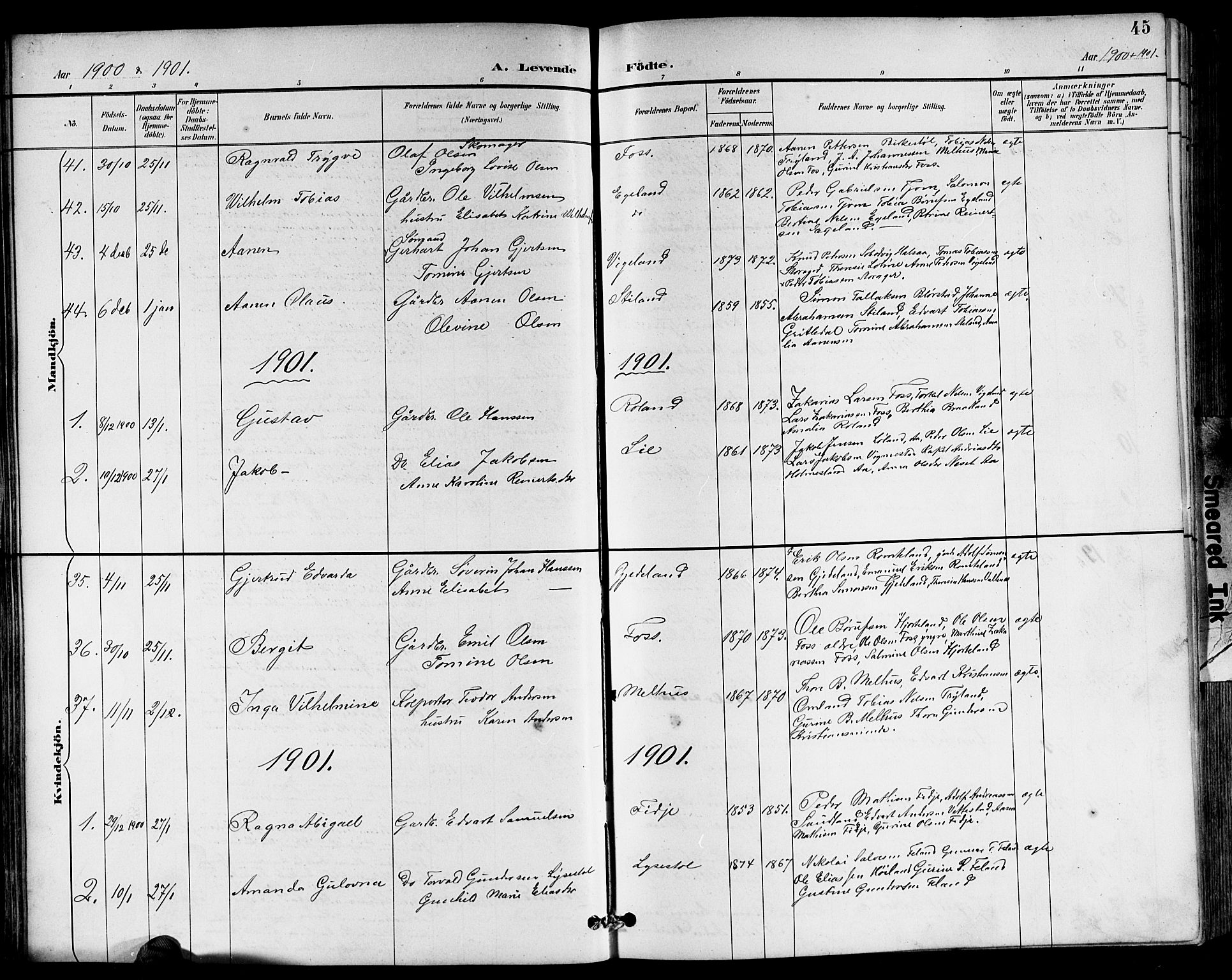 Sør-Audnedal sokneprestkontor, AV/SAK-1111-0039/F/Fb/Fbb/L0006: Parish register (copy) no. B 6, 1893-1915, p. 45