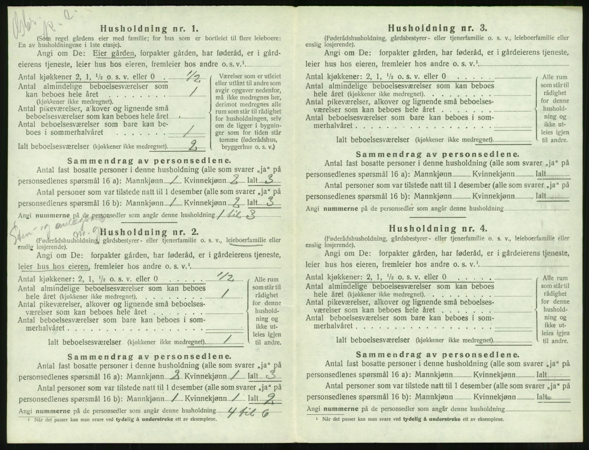 SAT, 1920 census for Borgund, 1920, p. 2013