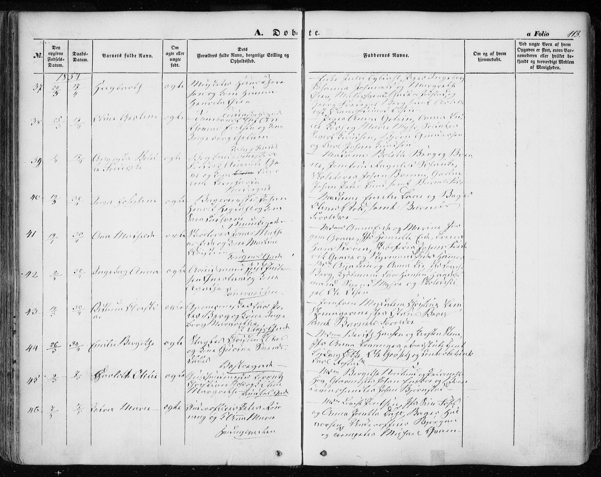 Ministerialprotokoller, klokkerbøker og fødselsregistre - Sør-Trøndelag, AV/SAT-A-1456/601/L0051: Parish register (official) no. 601A19, 1848-1857, p. 113