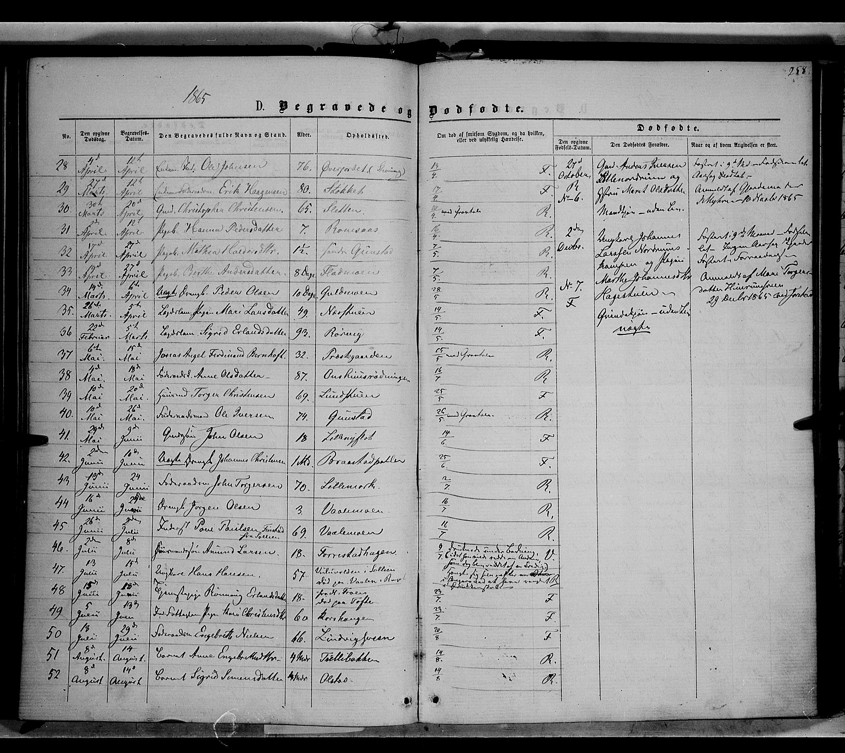 Ringebu prestekontor, AV/SAH-PREST-082/H/Ha/Haa/L0007: Parish register (official) no. 7, 1860-1877, p. 258