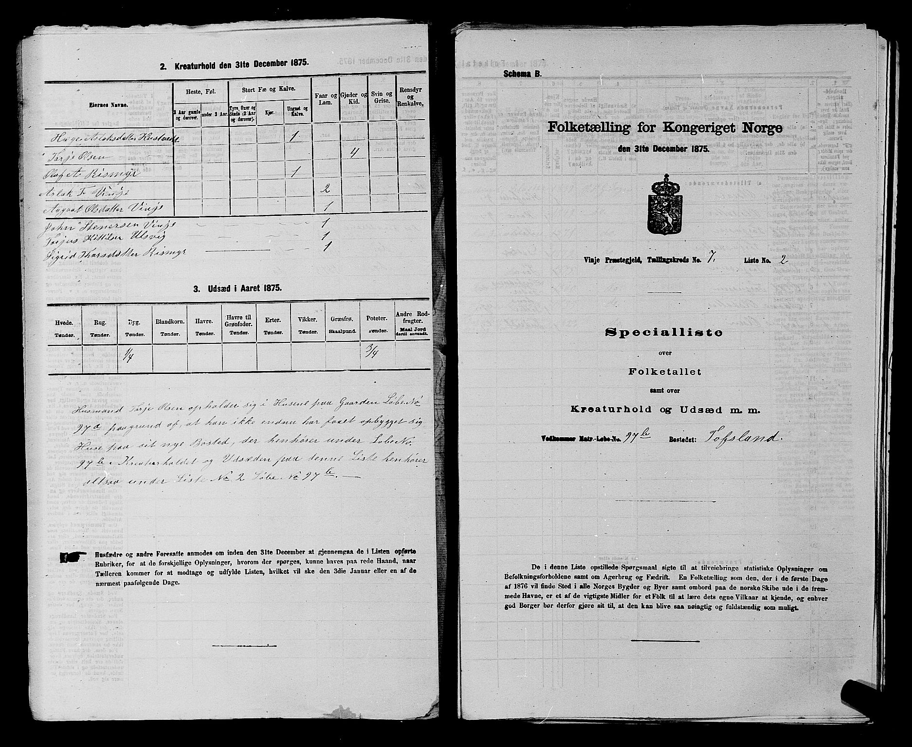 SAKO, 1875 census for 0834P Vinje, 1875, p. 494