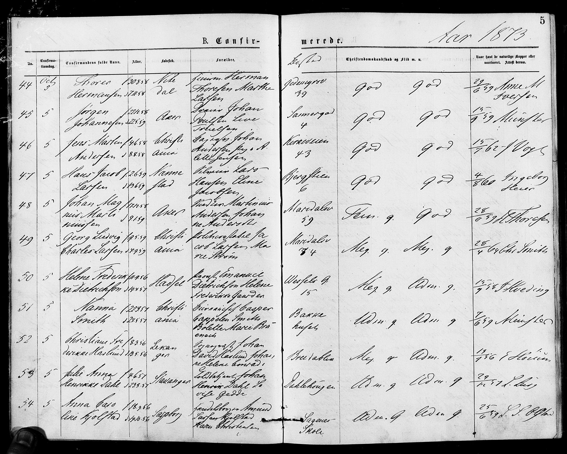 Gamle Aker prestekontor Kirkebøker, AV/SAO-A-10617a/F/L0005: Parish register (official) no. 5, 1873-1881, p. 5