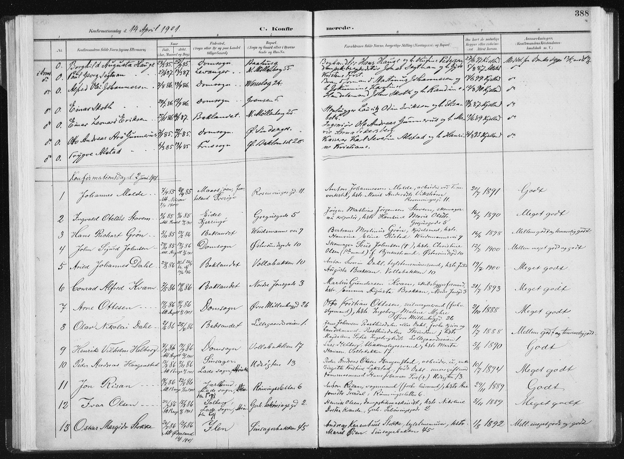 Ministerialprotokoller, klokkerbøker og fødselsregistre - Sør-Trøndelag, AV/SAT-A-1456/604/L0200: Parish register (official) no. 604A20II, 1901-1908, p. 388