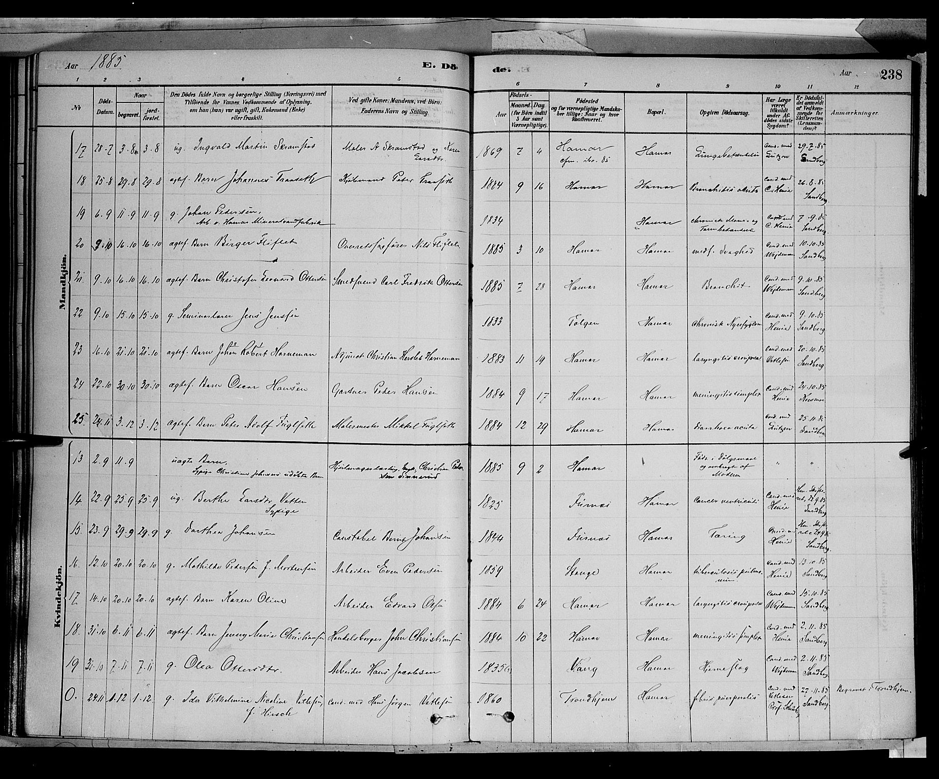 Vang prestekontor, Hedmark, AV/SAH-PREST-008/H/Ha/Haa/L0016: Parish register (official) no. 16, 1878-1889, p. 238