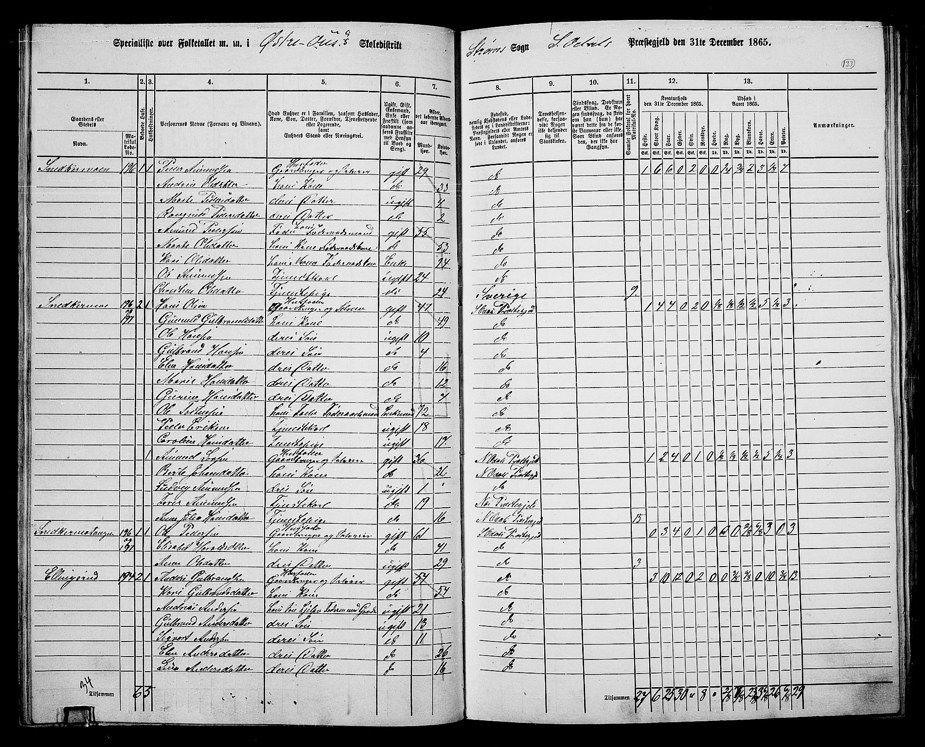 RA, 1865 census for Sør-Odal, 1865, p. 118