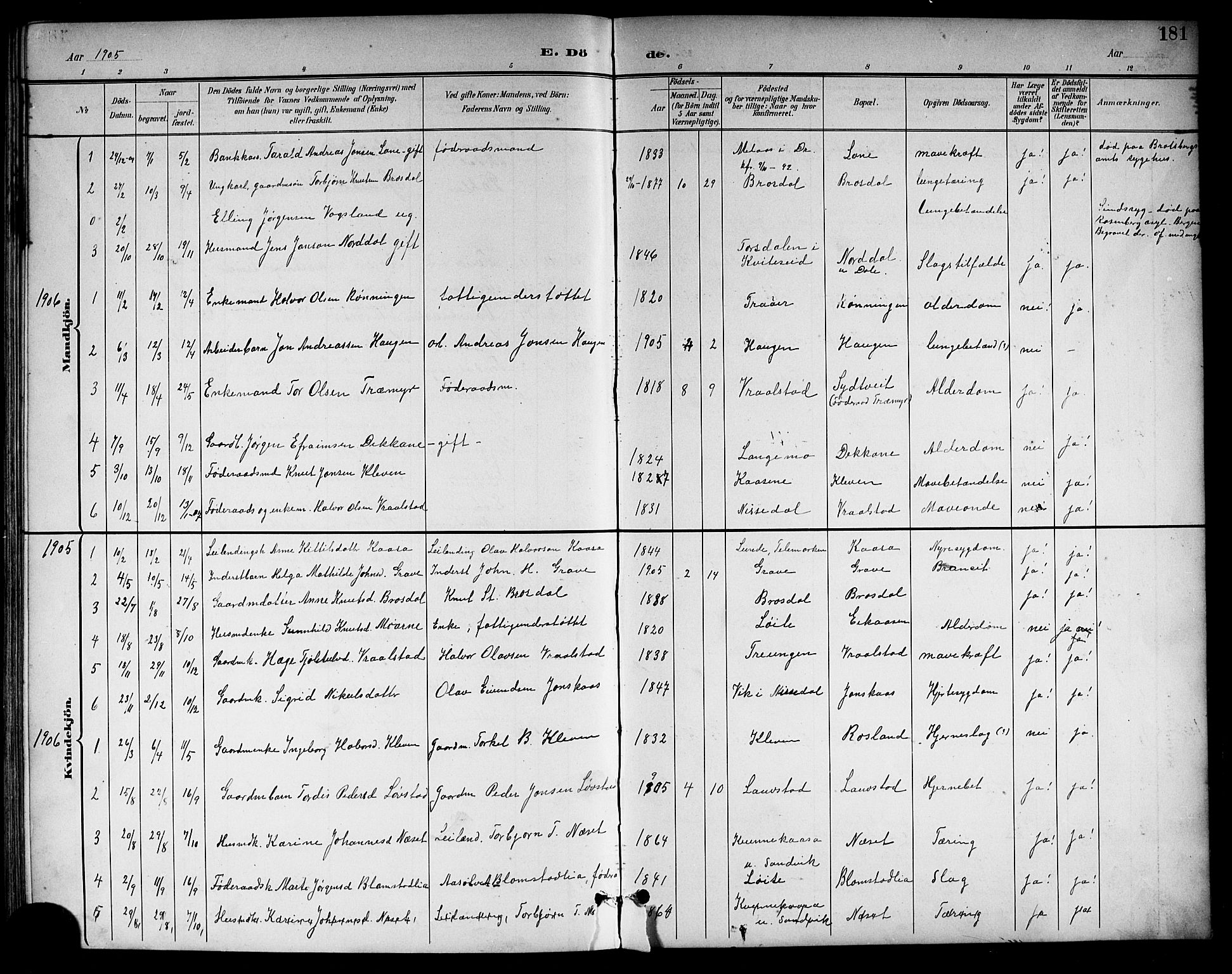 Drangedal kirkebøker, SAKO/A-258/G/Gb/L0002: Parish register (copy) no. II 2, 1895-1918, p. 181
