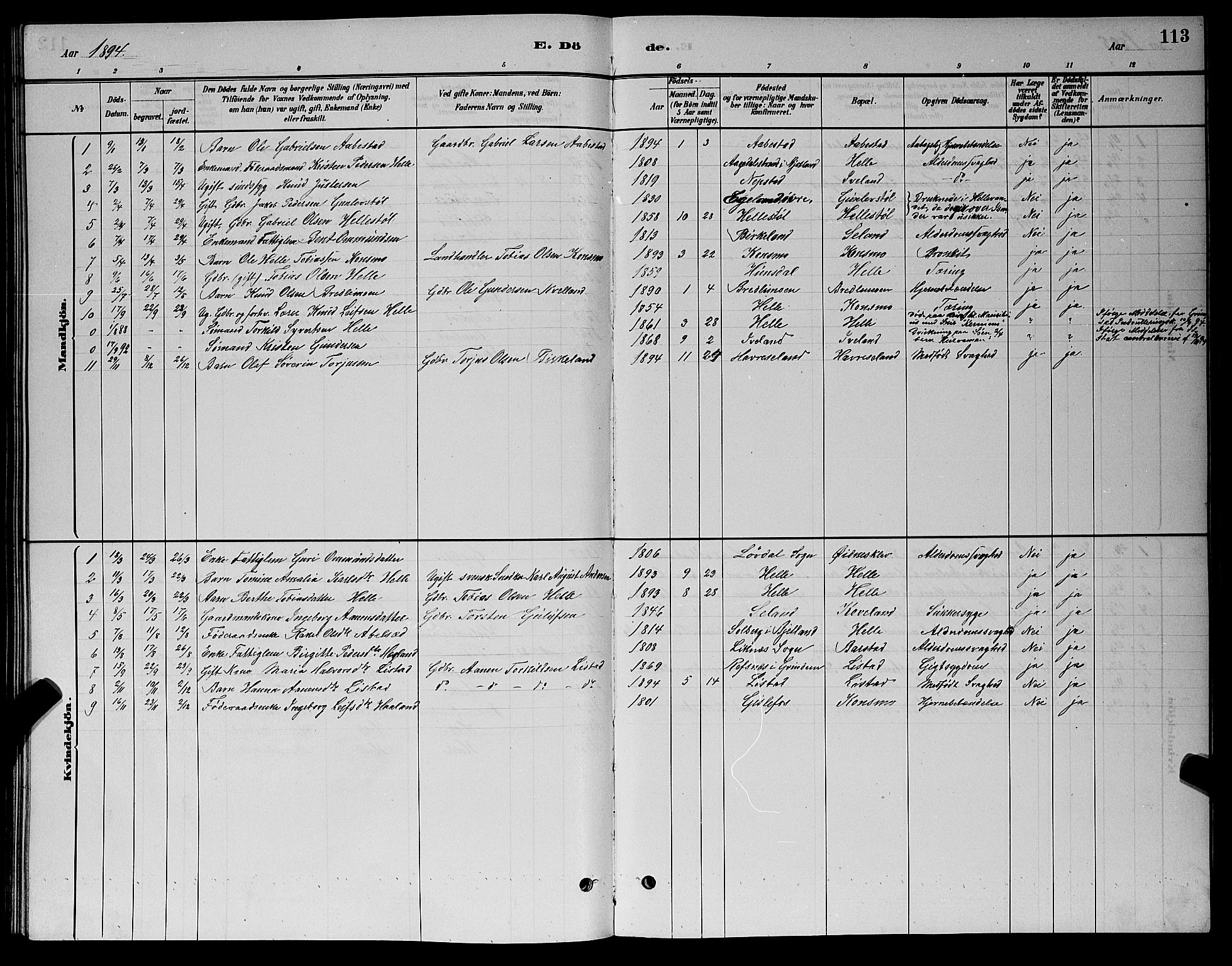 Nord-Audnedal sokneprestkontor, AV/SAK-1111-0032/F/Fb/Fba/L0003: Parish register (copy) no. B 3, 1881-1900, p. 113