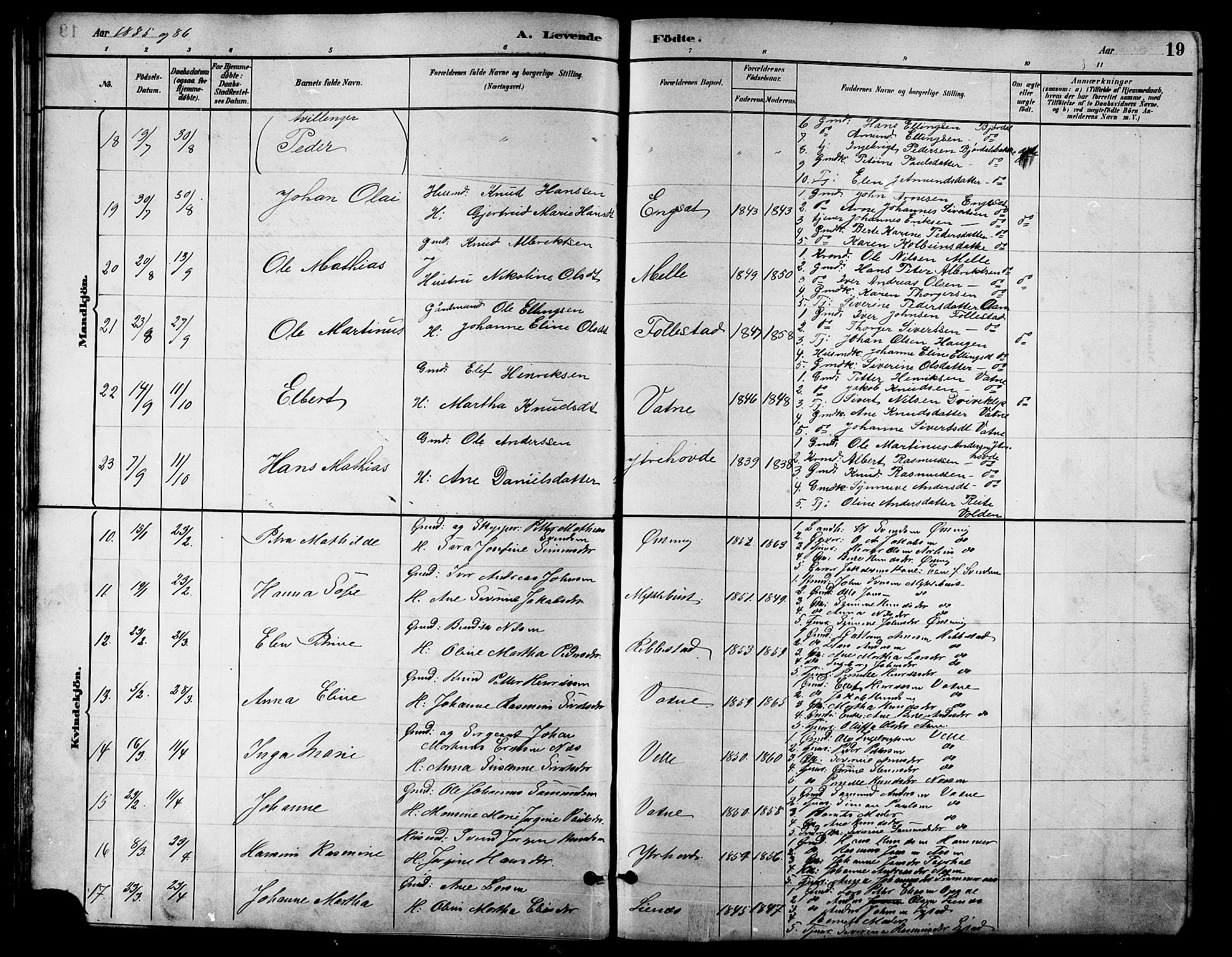 Ministerialprotokoller, klokkerbøker og fødselsregistre - Møre og Romsdal, AV/SAT-A-1454/513/L0189: Parish register (copy) no. 513C03, 1883-1904, p. 19