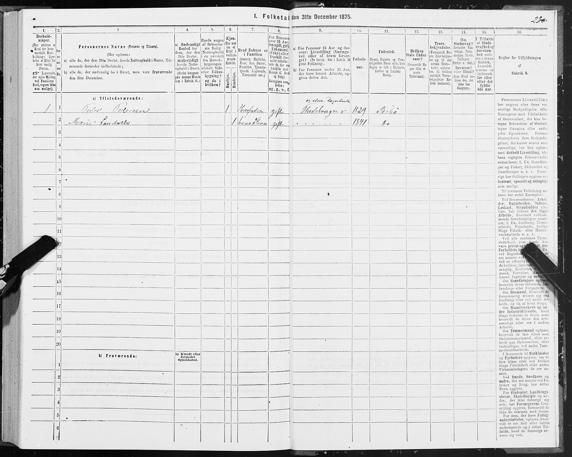 SAT, 1875 census for 1544P Bolsøy, 1875, p. 1230