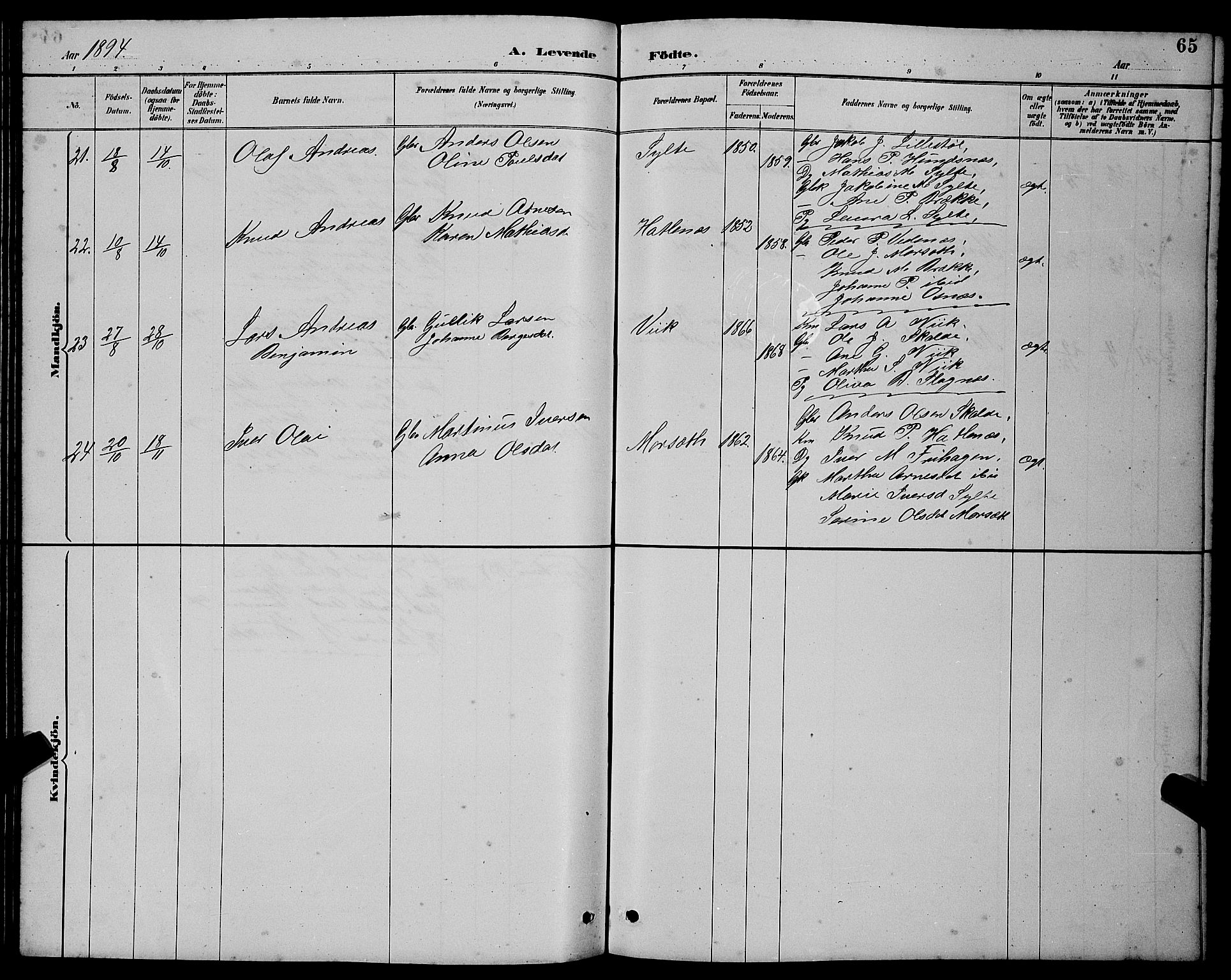 Ministerialprotokoller, klokkerbøker og fødselsregistre - Møre og Romsdal, AV/SAT-A-1454/501/L0017: Parish register (copy) no. 501C03, 1885-1901, p. 65