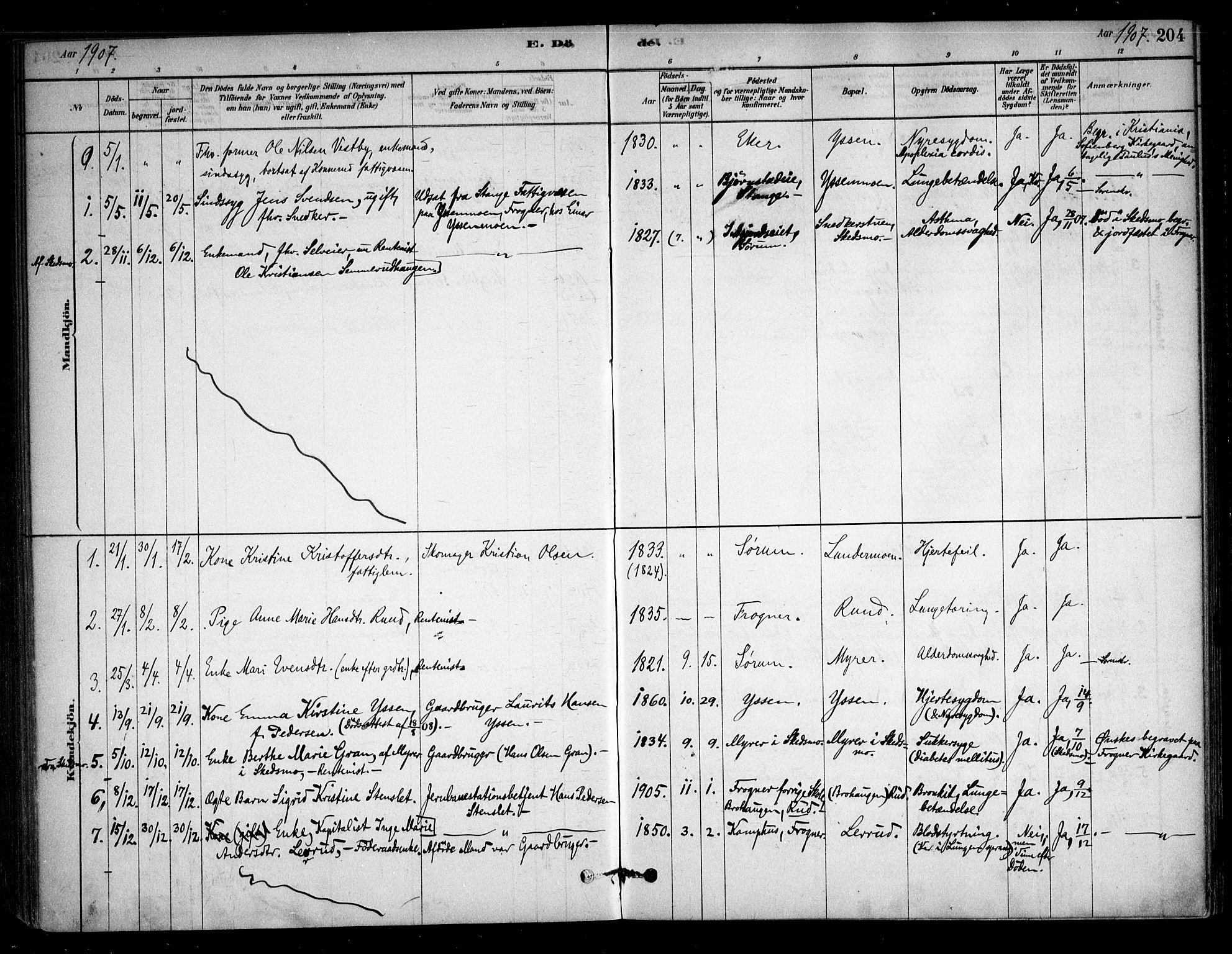 Sørum prestekontor Kirkebøker, SAO/A-10303/F/Fb/L0001: Parish register (official) no. II 1, 1878-1915, p. 204