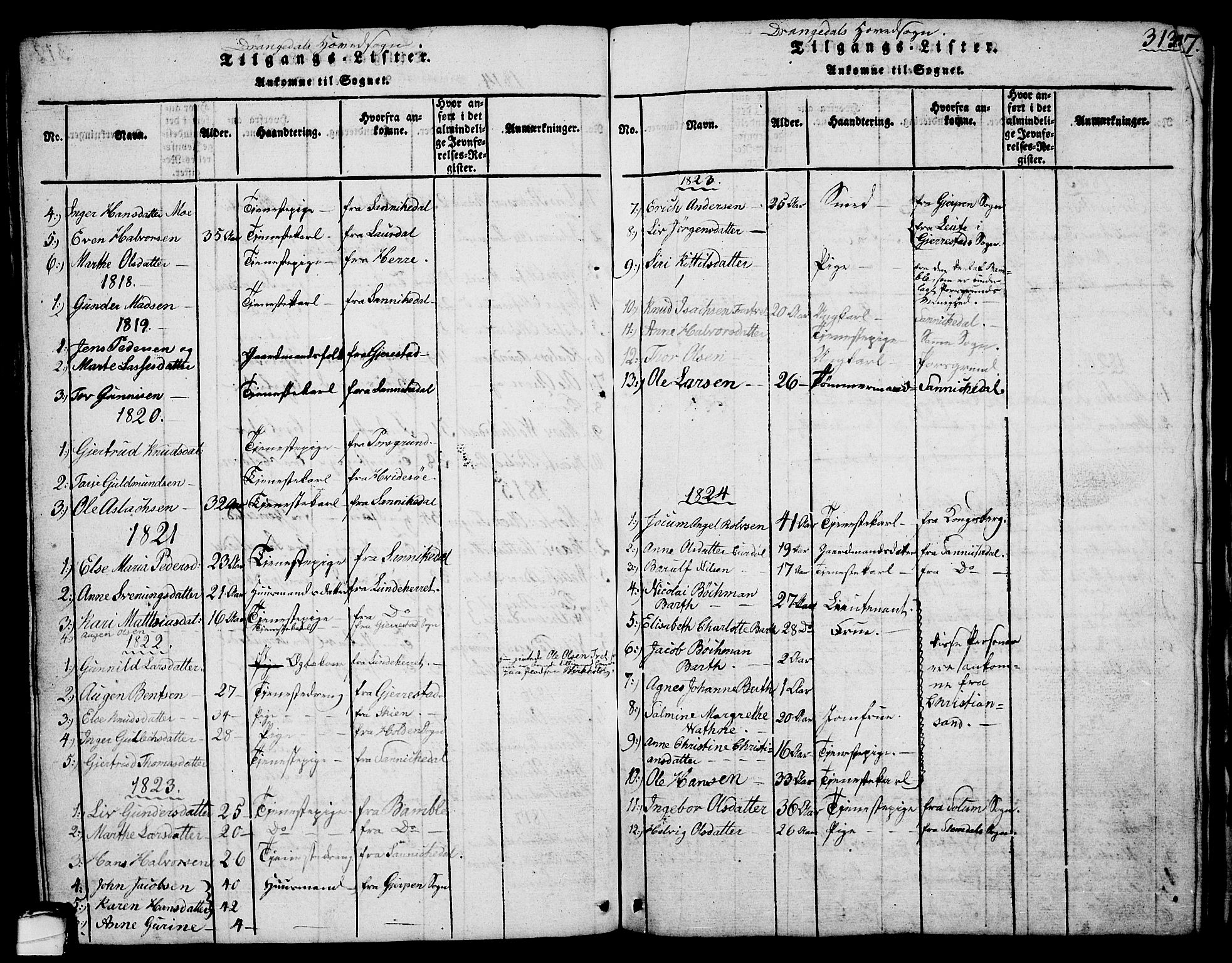 Drangedal kirkebøker, SAKO/A-258/G/Ga/L0001: Parish register (copy) no. I 1 /1, 1814-1856, p. 313